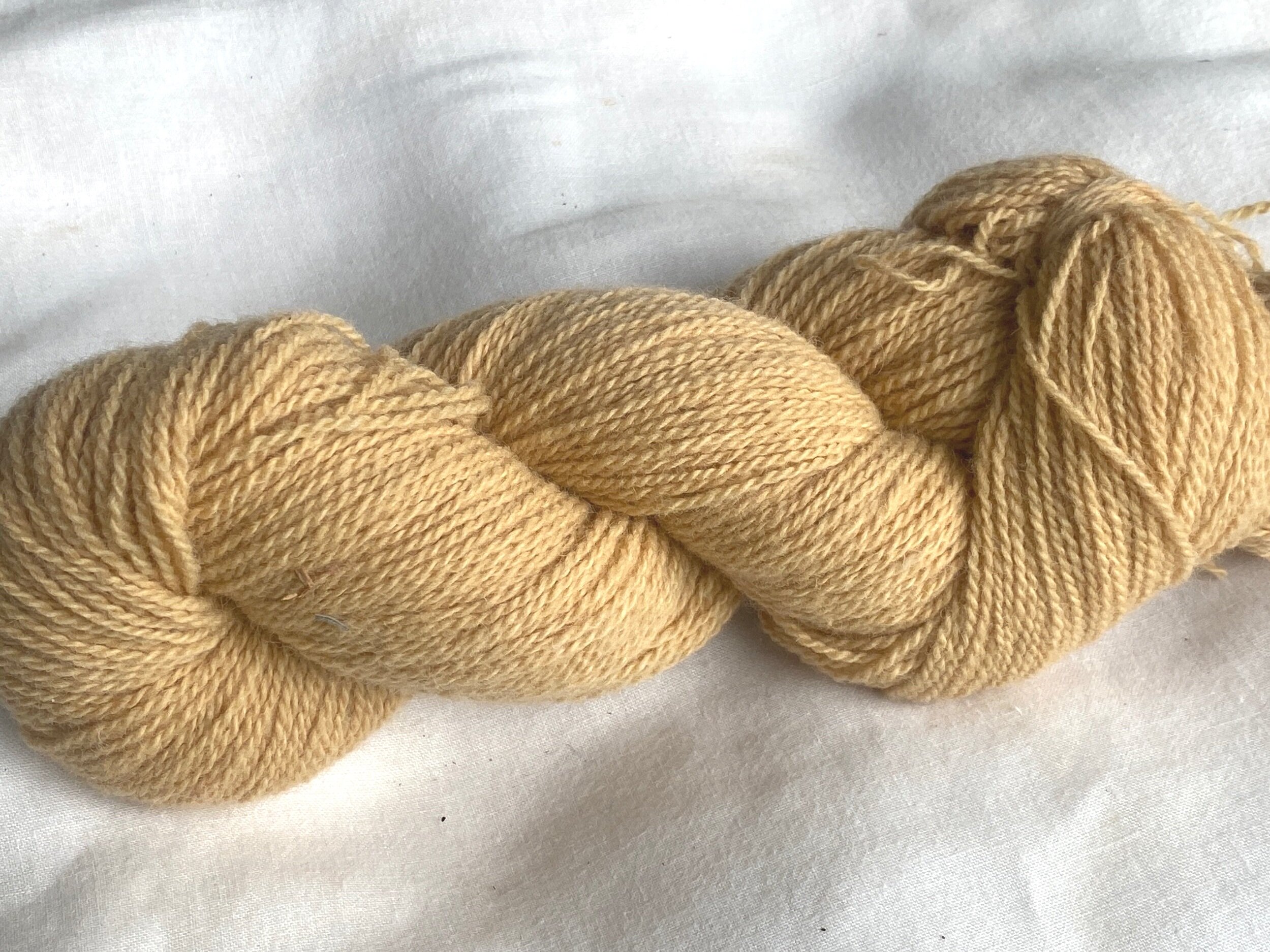 Gold Annatto - Cornmeal