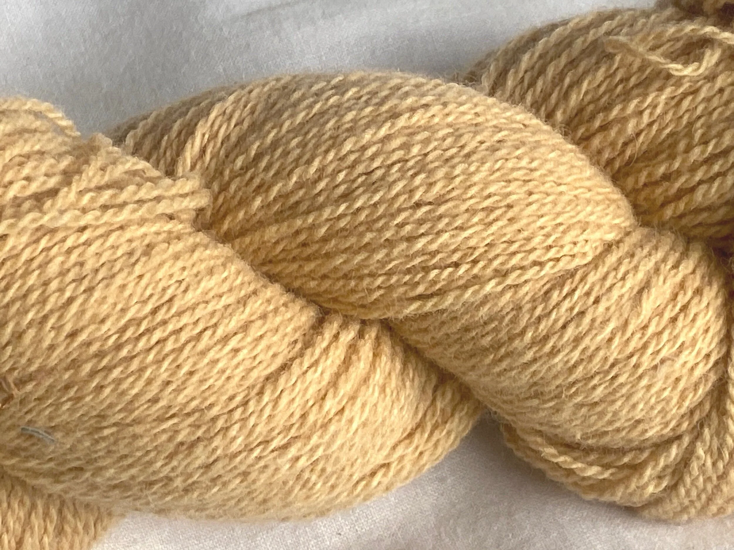 7F0541AE-CC21-4081-9F38-50B6A5E39F62