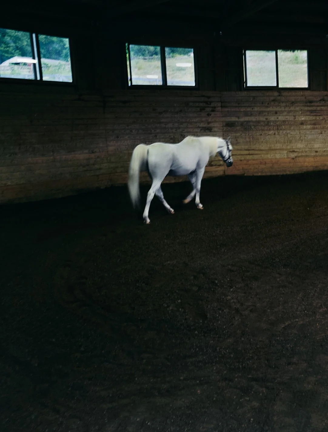 AFM_Issue2_Cover Story-6.jpg