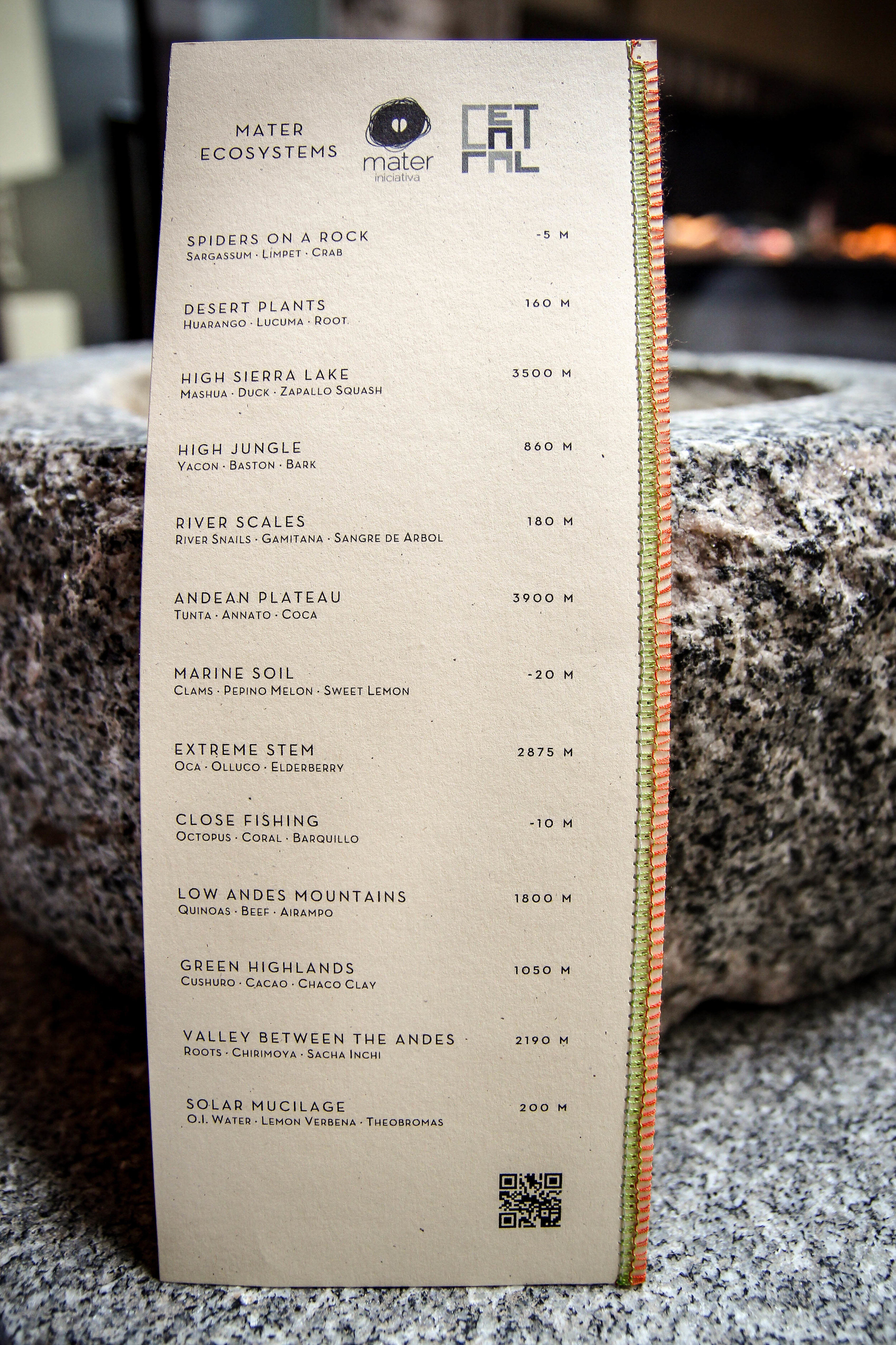 menu central.jpeg