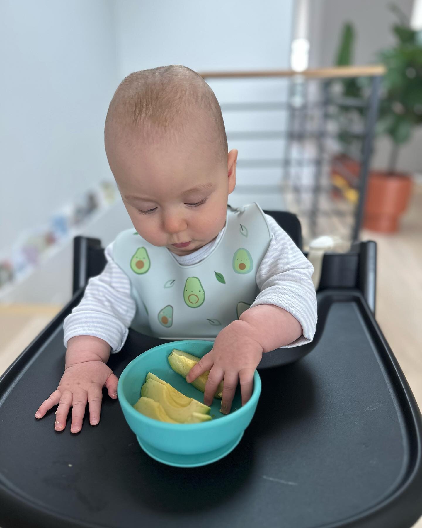 Today is the day! Levi is 6 months old and we are beginning our baby led weaning journey. In this approach Levi takes the led in feeding himself. I have exclusively breastfed Levi for 6 months, so this is a huge, emotional, and very exciting step for