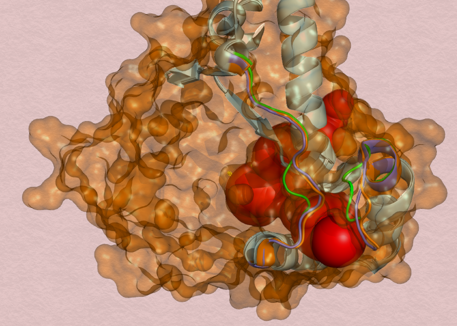optimization of target approach for drug discovery