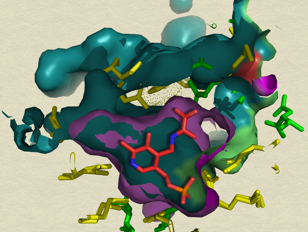 structure of protein-ligand complex