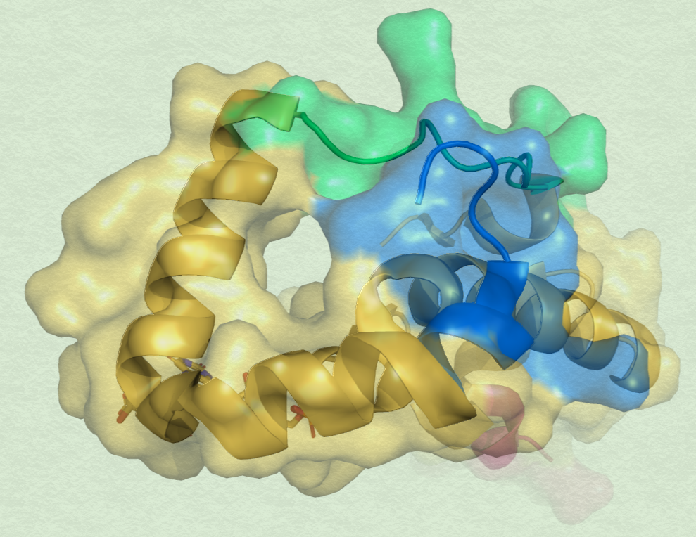 protein target for assay