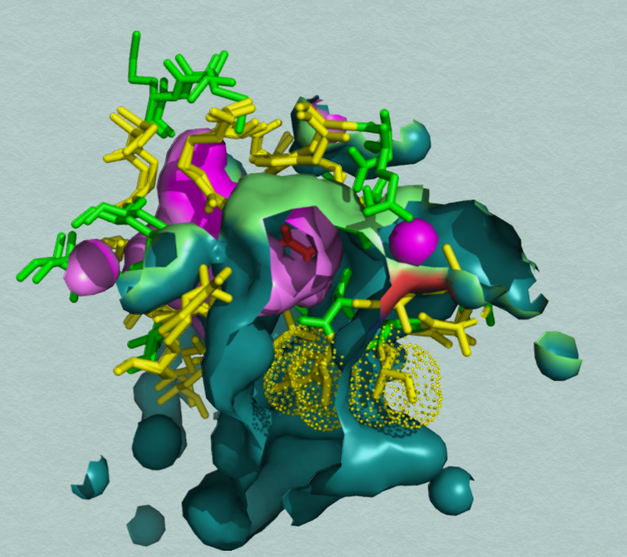 protein pocket exploration for drug discovery