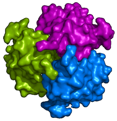 trimer membrane protein