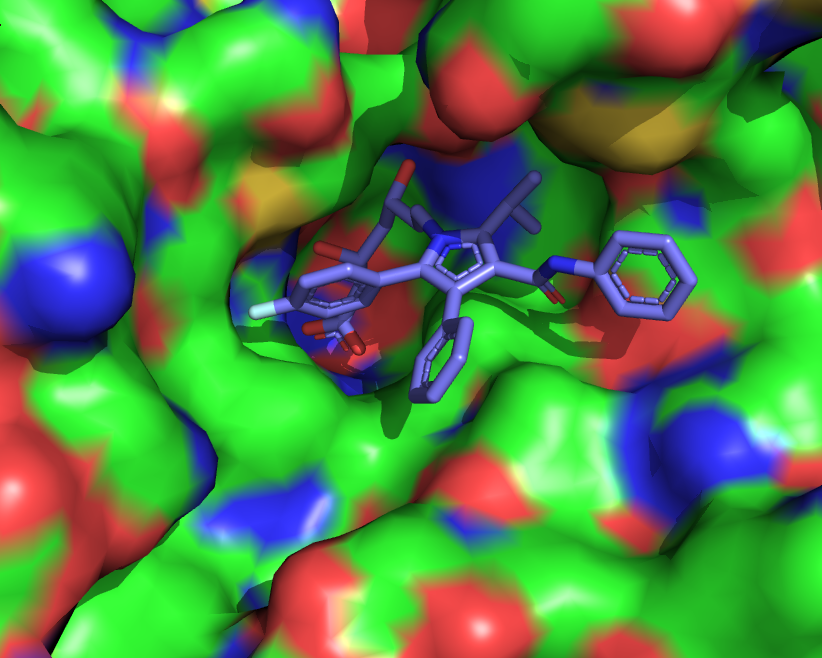 ligand in active site