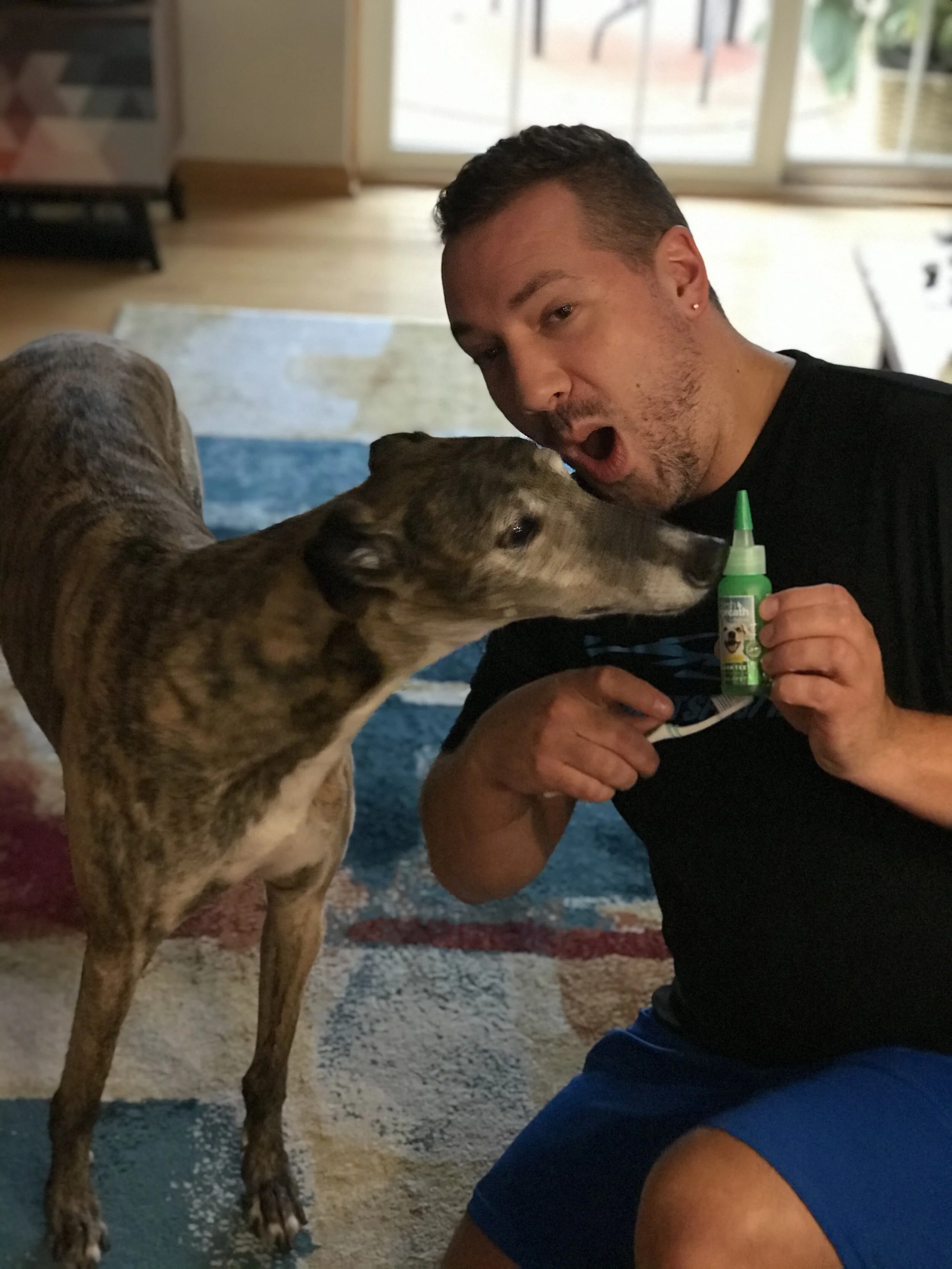 Brushing Your Greyhound’s Teeth