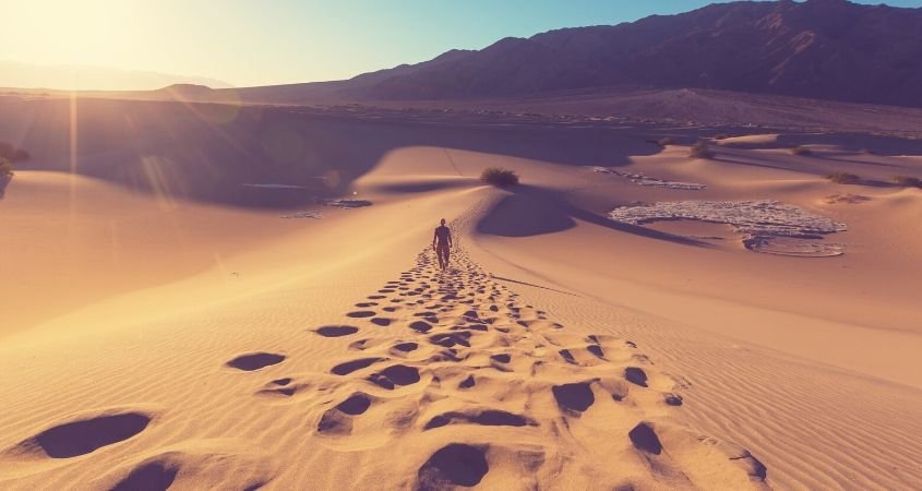 Ash Wednesday Desert – Spanish – Diocesan