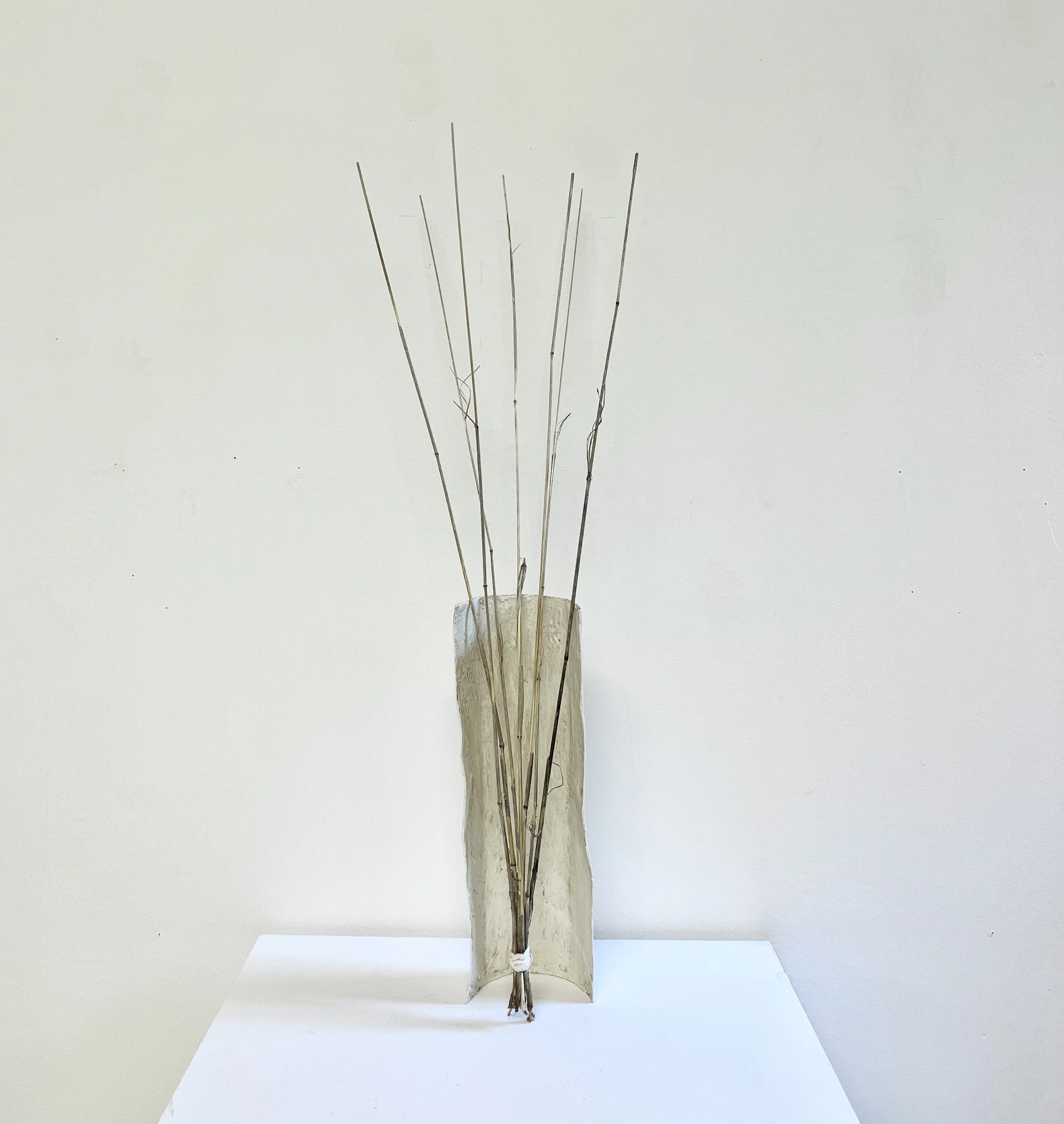WA No. 10 (Temporary Sculpture), 2026, paper, plaster, aqua resin, dried blue stem, string, 4 x 3 x 14, 1/2 x 3 in.