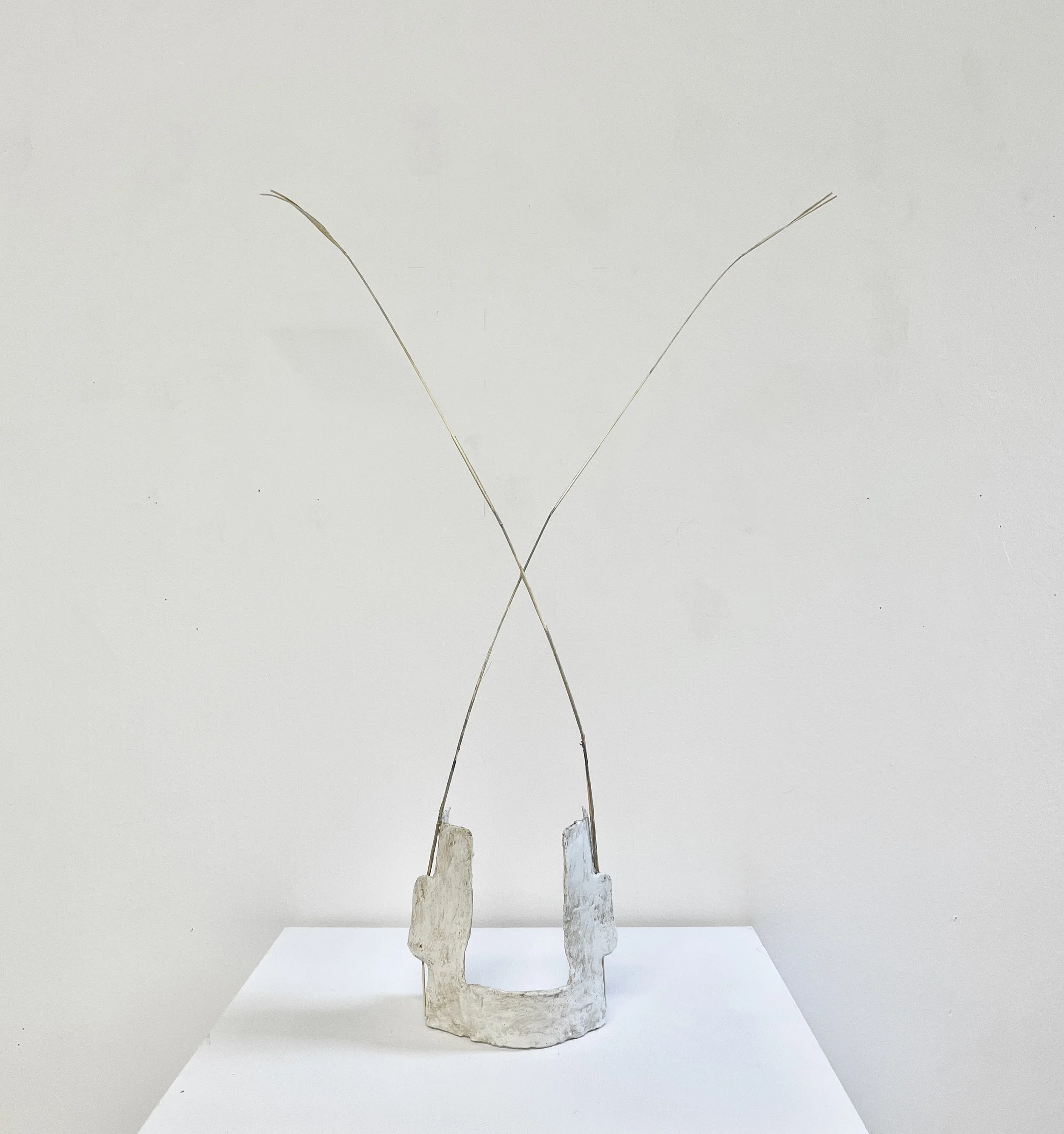 WA No. 12 (Temporary Sculpture), 2026, paper, plaster, aqua resin, enamel, wax, dried blue stem, string, 5 x 23 x 4 in. 