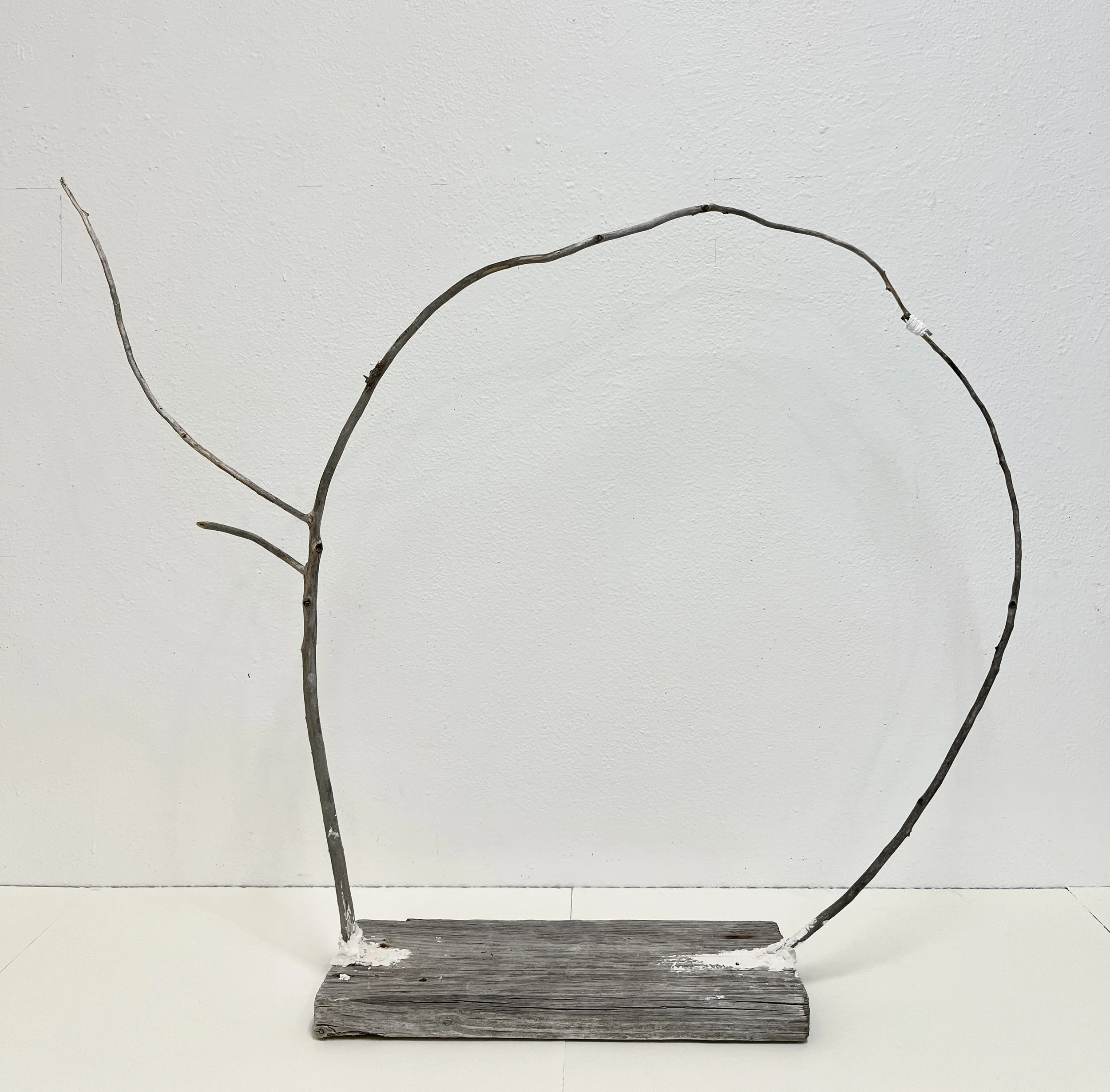 WA No. 3 (Temporary Sculpture), 2026, birch branches, found plank, plaster, string, variable dimensions.
