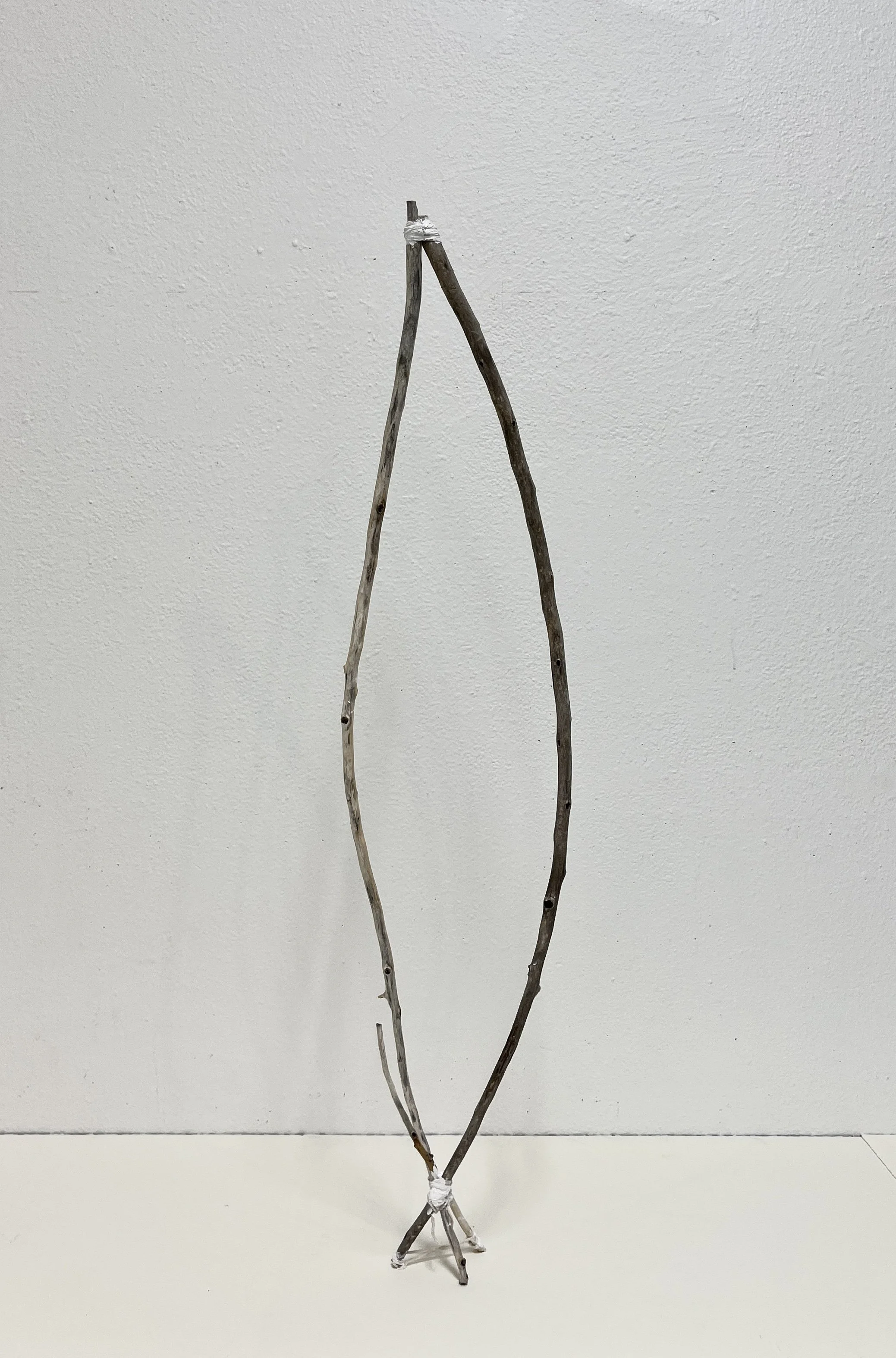 WA No. 6 (Temporary Sculpture), 2026, curved sticks, strings, variable dimensions. 