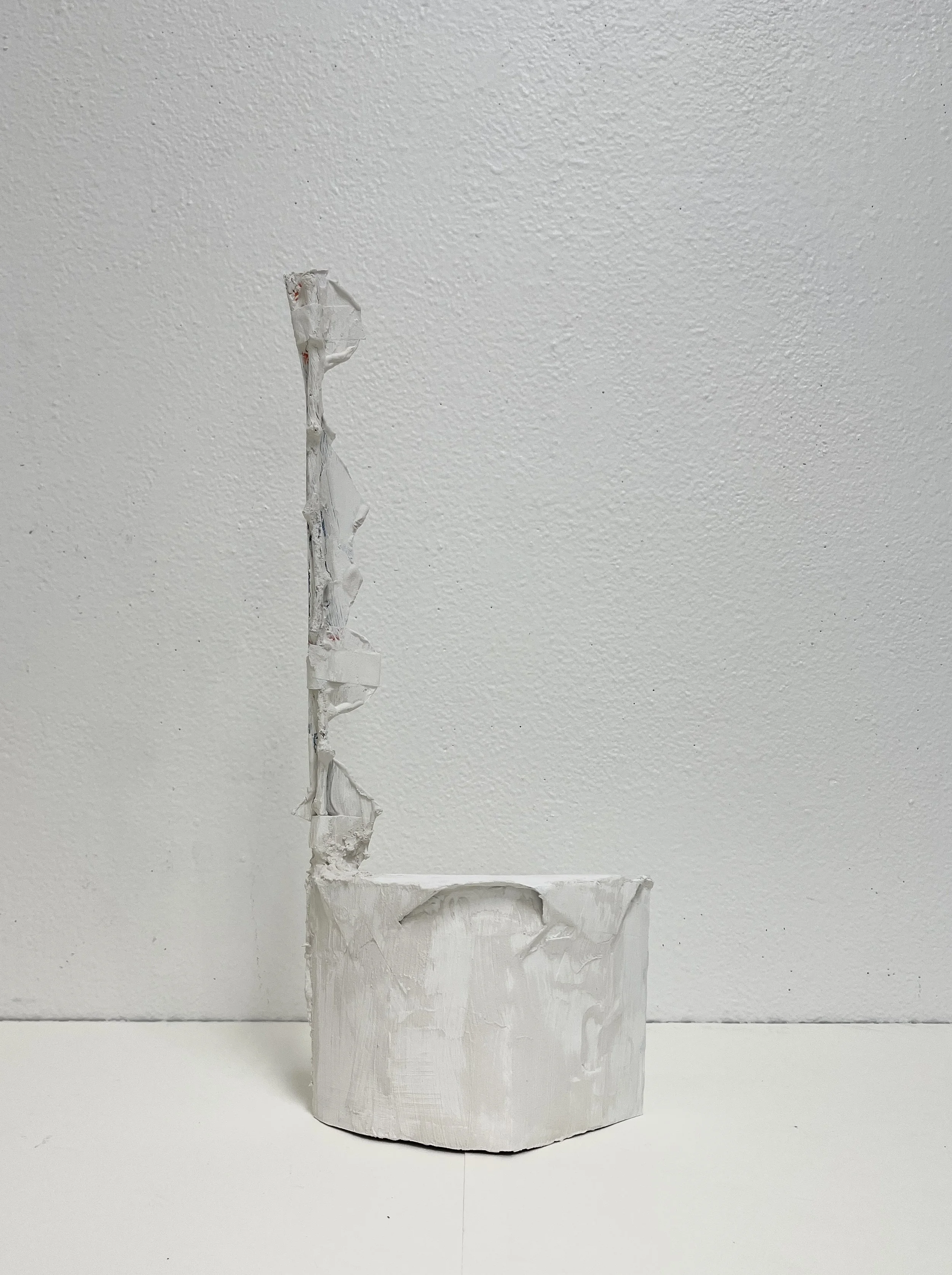WA No. 11 (Temporary Sculpture), 2026, paper, plaster, tape, birch branch, variable dimensions.