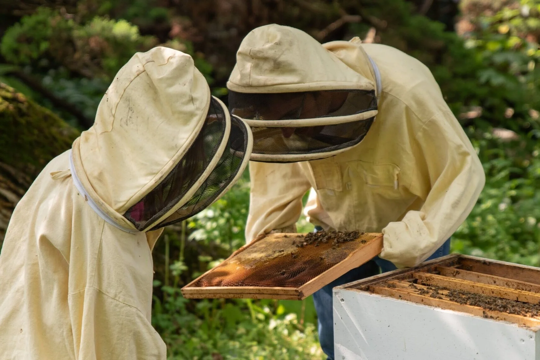 fot. Cezary Kamiński