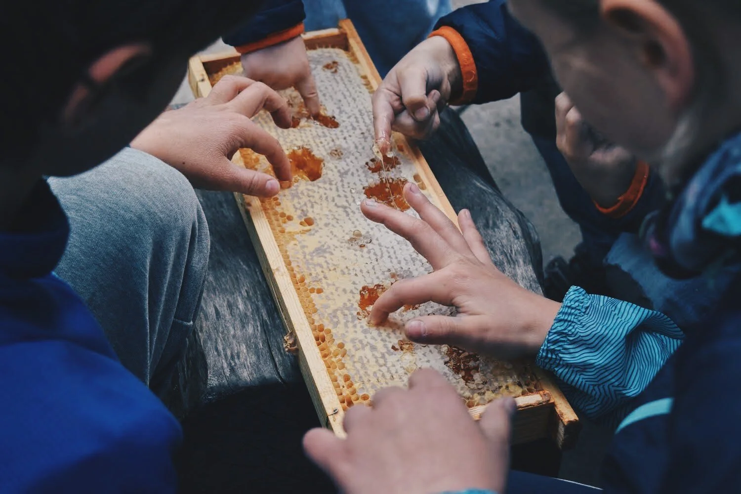 Panstwomiasto - oprowadzanie3.jpg