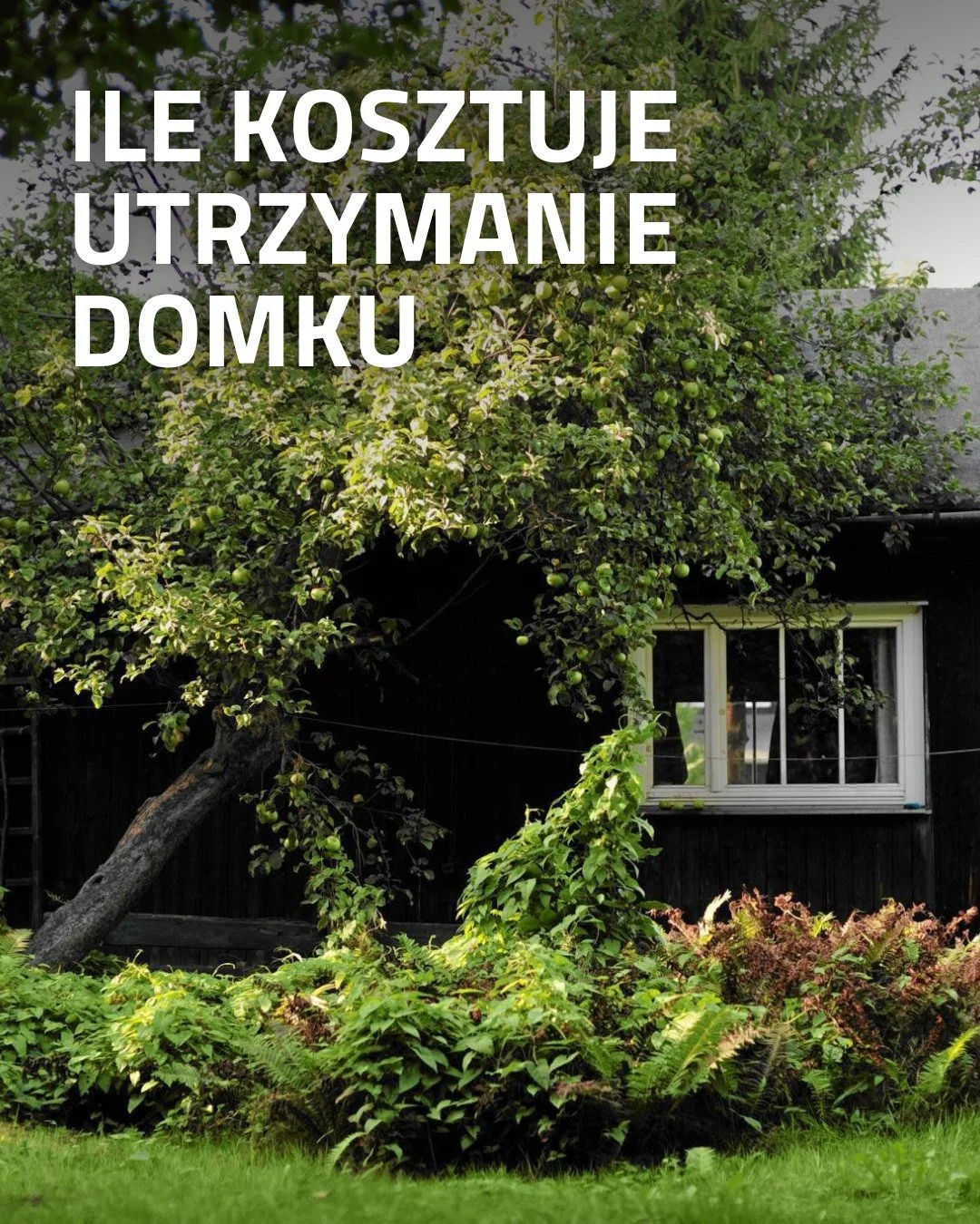 Być może się zastanawiacie ile kosztuje utrzymanie naszego domku i prowadzenie organizacji pozarządowej. W ten koszt wlicza się czynsz, media, internet, ogrzewanie, czy zasoby do utrzymania i konserwacji domku. 💸

Podliczając to wszystko, suma koszt