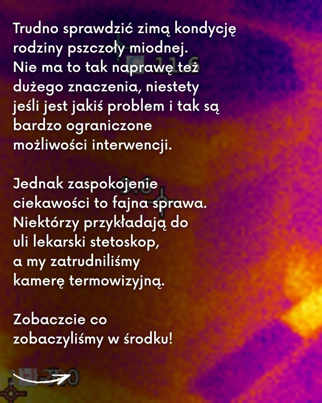Trudno sprawdzić zimą kondycję rodziny pszczoły miodnej. Nie ma to tak naprawę też dużego znaczenia, niestety jeśli jest jakiś problem i tak są bardzo ograniczone możliwości interwencji. Jednak zaspokojenie ciekawości to fajna sprawa. Niekt&oacute;rz