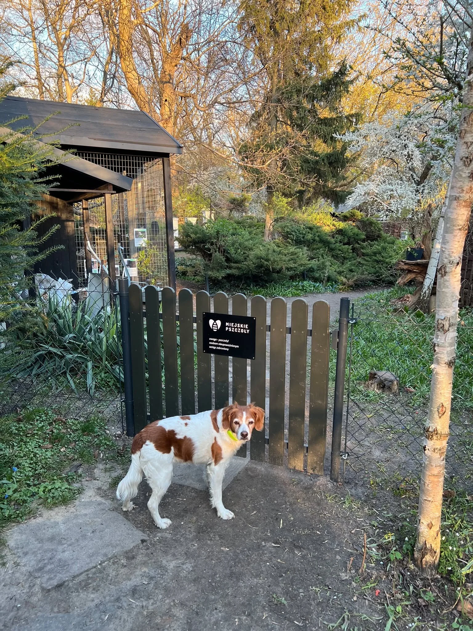 Na Jazdowie wciąż trwają remonty: wykopy, sprzęt, bałagan. Można nas odwiedzać, choć w tym czasie wymaga to od nas wszystkich większej uważności i troski o przestrzeń. 🚧

Niemal każdego dnia okazuje się, że koparka o coś zahaczyła, wyrwano jakiś słu