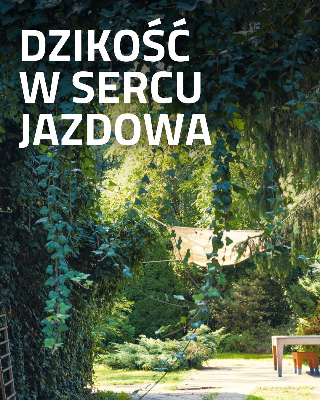 Druga część ogrodu ma bardziej dziki, swobodny charakter. To przestrzeń tworzona przede wszystkim z myślą o zwierzętach &ndash; zar&oacute;wno dzikich, jak i udomowionych oraz o kompostowaniu, kt&oacute;re prowadzimy na r&oacute;żne sposoby.

Prowadz