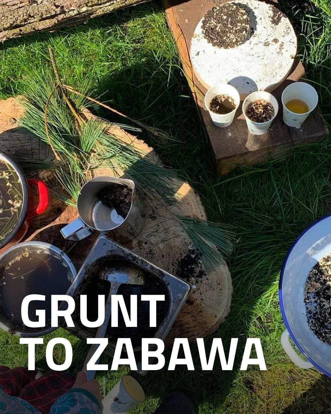 Urządziliśmy na nowo nasz dziecięcy zakątek w ogrodzie. Pojawiły się nowe stoły, nowe skarby, naczynia i materiały do przygotowywania dziecięcych potraw. 🥗

Rodzice w każdej chwili możecie odwiedzić razem z dziećmi nasz ogrodowy zakątek &bdquo;Grunt