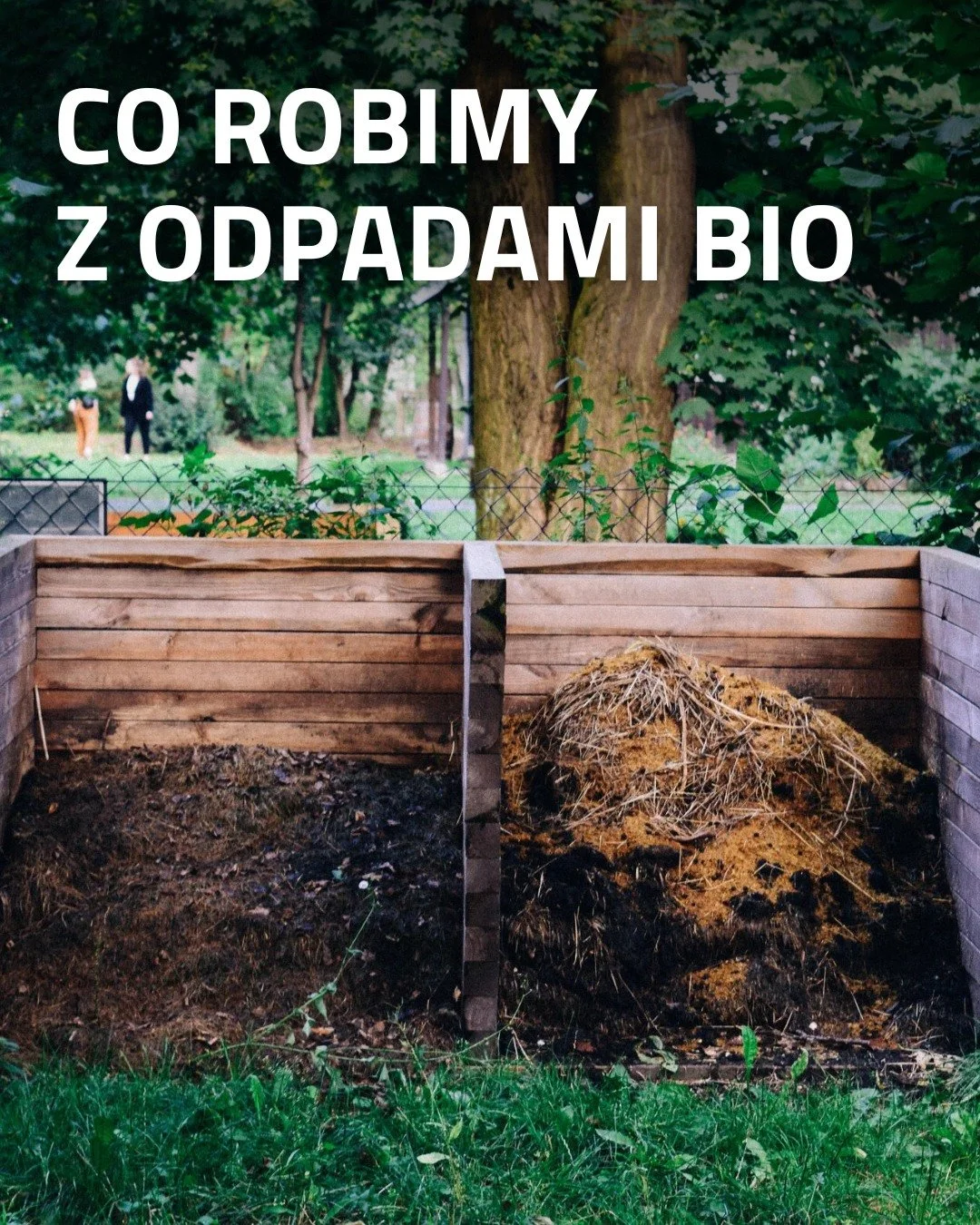 Resztki z domku, resztki z ogrodu, naw&oacute;z produkowany przez zwierzęta - to wszystko trafia do  pryzm kompostowych. Po roku lub dw&oacute;ch kompost staje się czarną ziemią bogatą w cenne składniki (np. azot). Wzbogacanie ziemi kompostem pomaga 