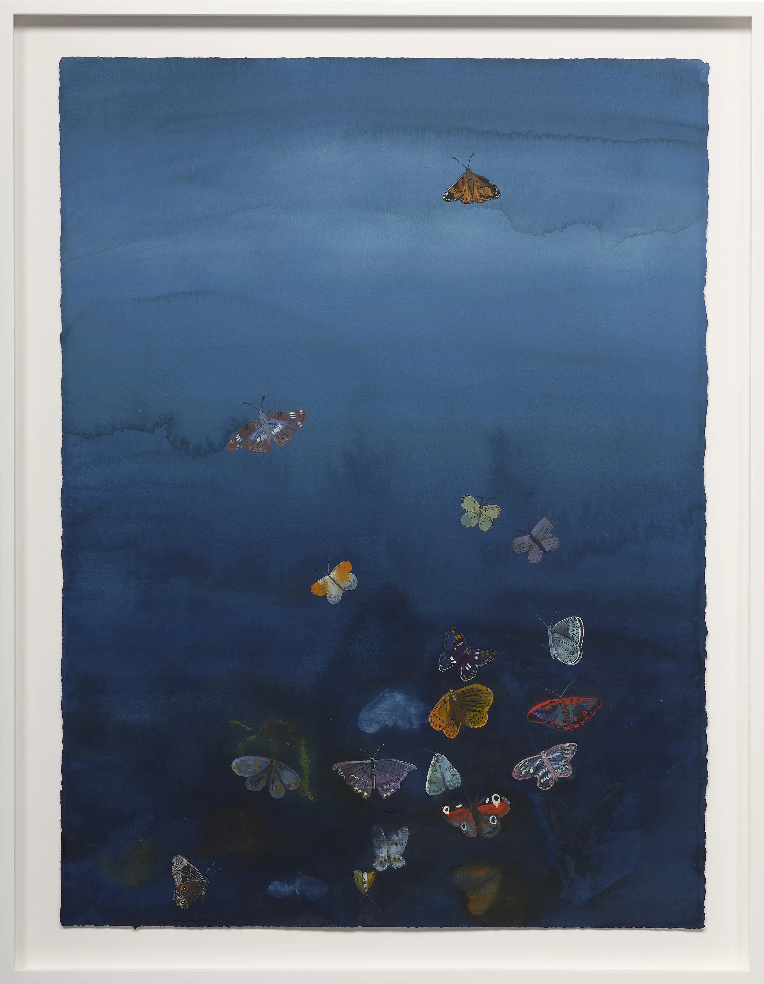Butterfly 6, 2025
Watercolor on paper
Framed Dimensions:
33 3/8 x 25 7/8 x 2 inches
Artwork Dimensions:
30 1/4 x 22 3/4 inches