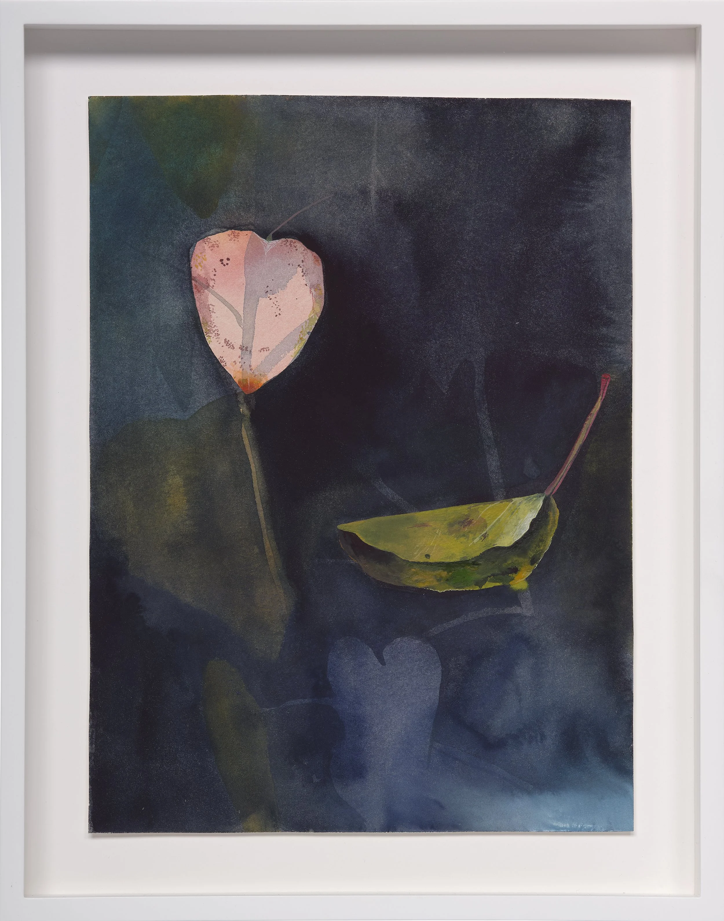 Letting Go, 2024
Watercolor on paper
Paper dimensions:
11.5 x 8.5inches