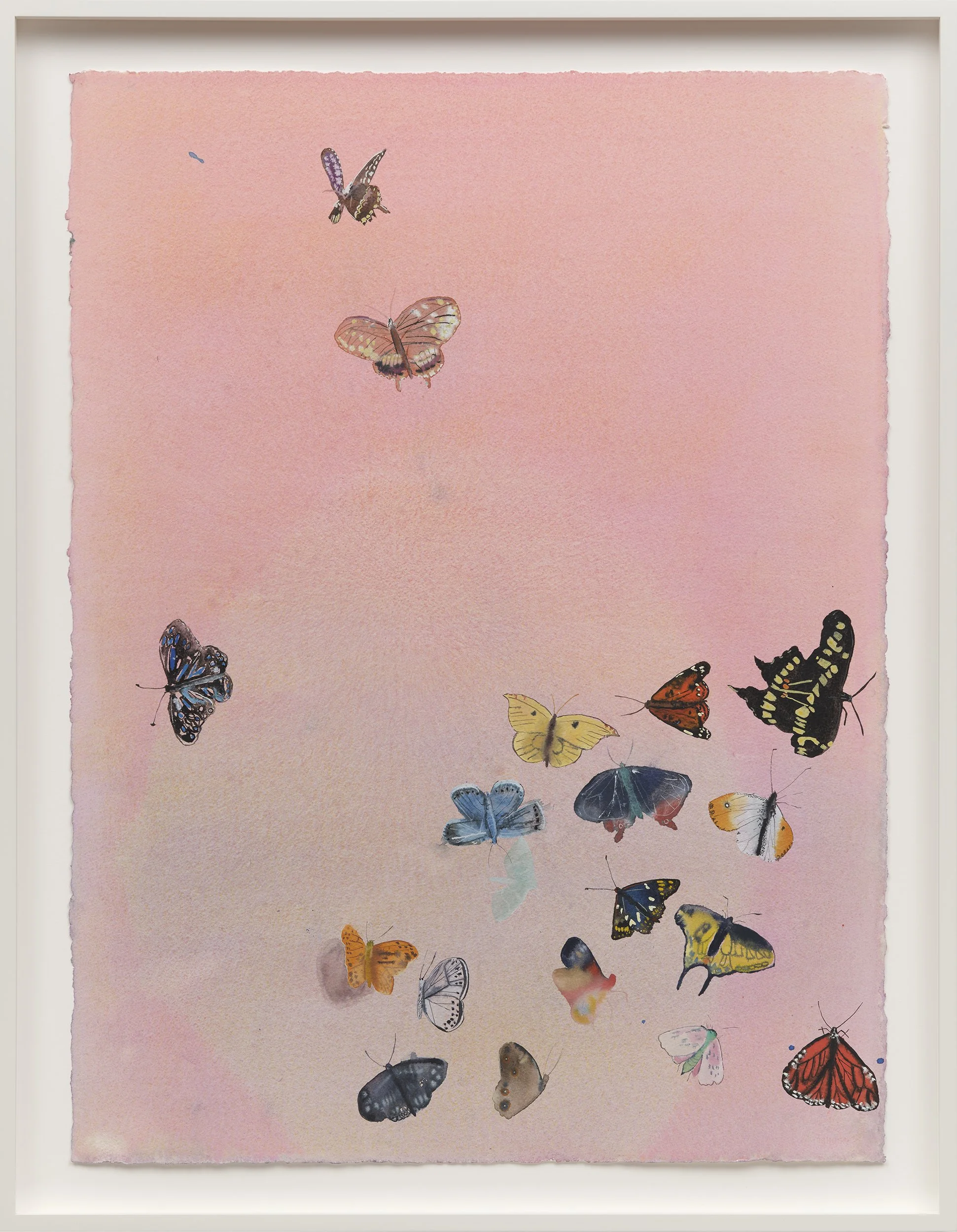Gut Feelings, 2026
Watercolor on paper
30 x 22 inches