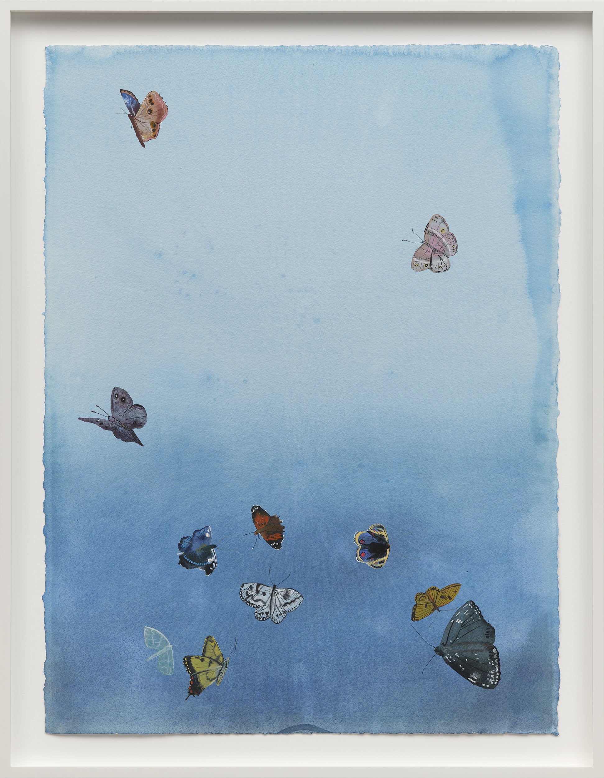 Slow Motion, 2026
Watercolor on paper
30 x 22 inches