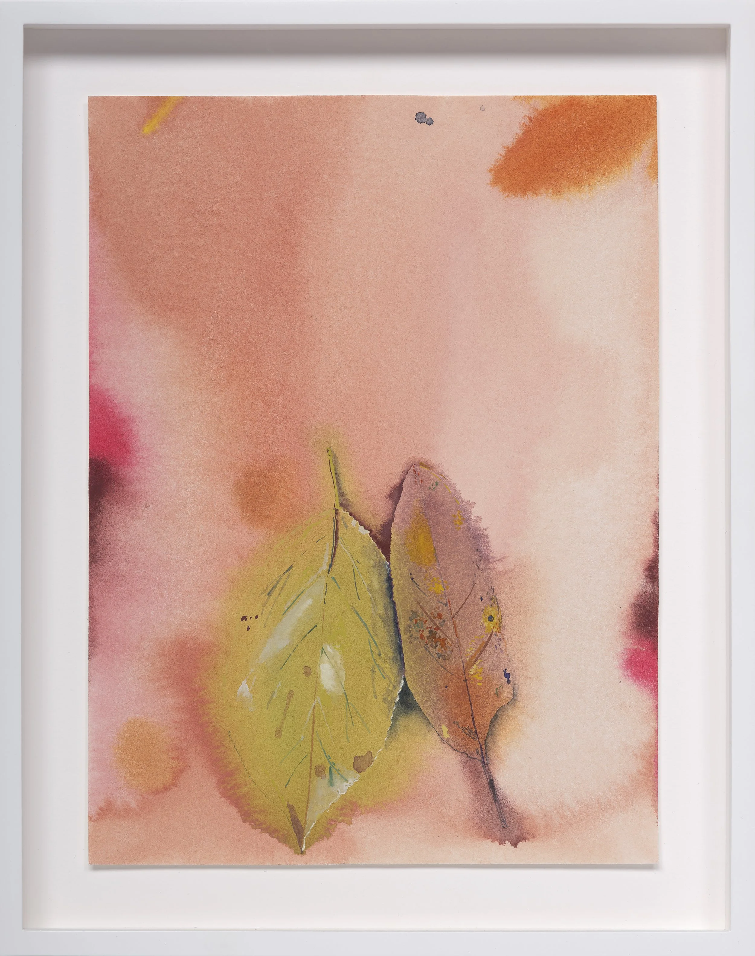 Coming back together, 2024
Watercolor on paper
Paper dimensions:
11.5 x 8.5 inches