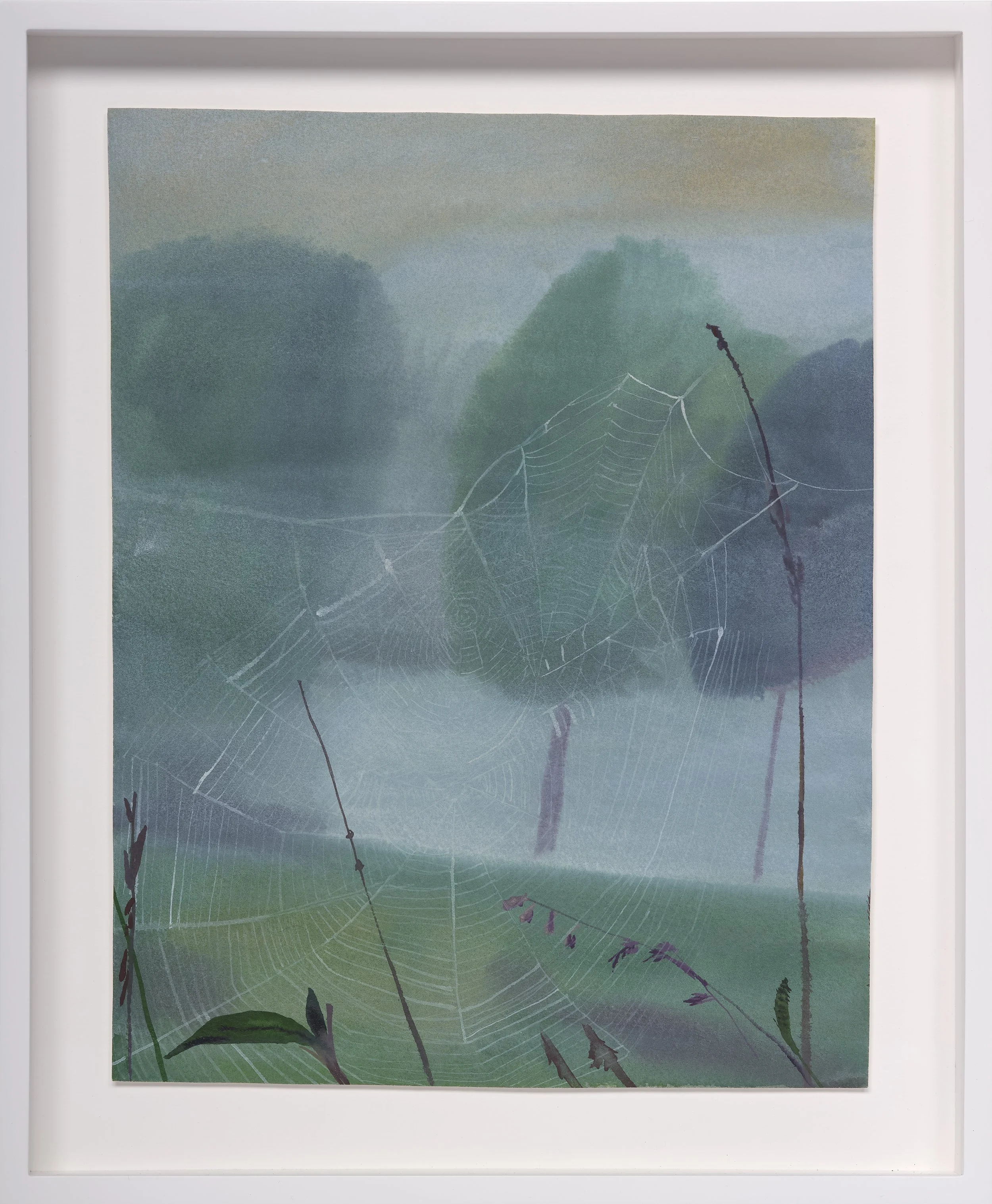 Cicadas, 2024
Watercolor on paper
Paper dimensions:
13 x 10 inches
