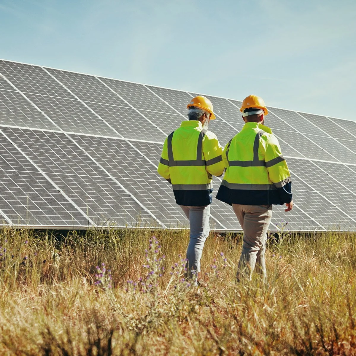 Two workers wearing yellow safety helmets and high-visibility jackets walk through a field with tall grass and wildflowers, in front of a large array of solar panels under a clear sky.