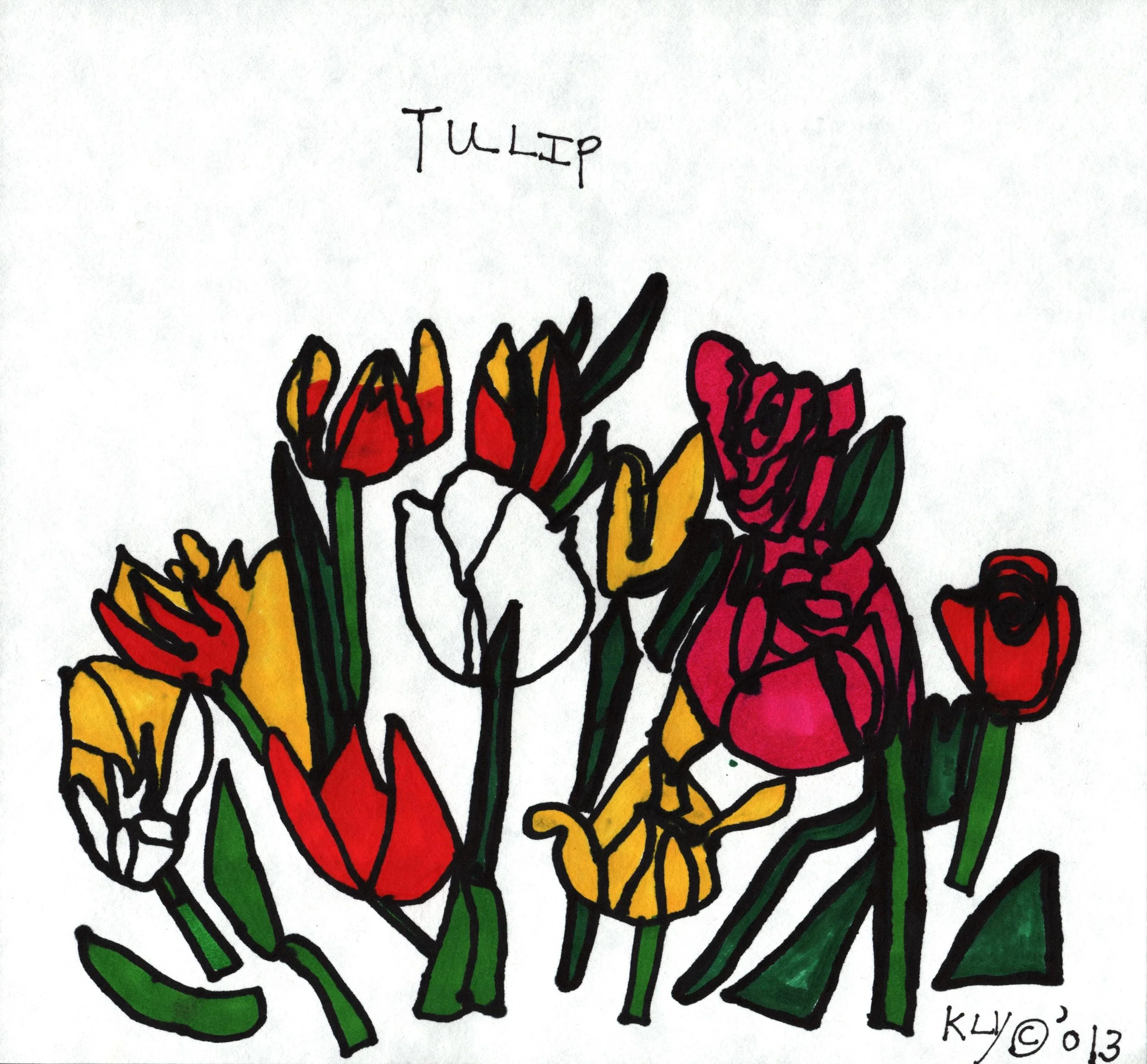KYawman_Tulip2_9x9.jpg