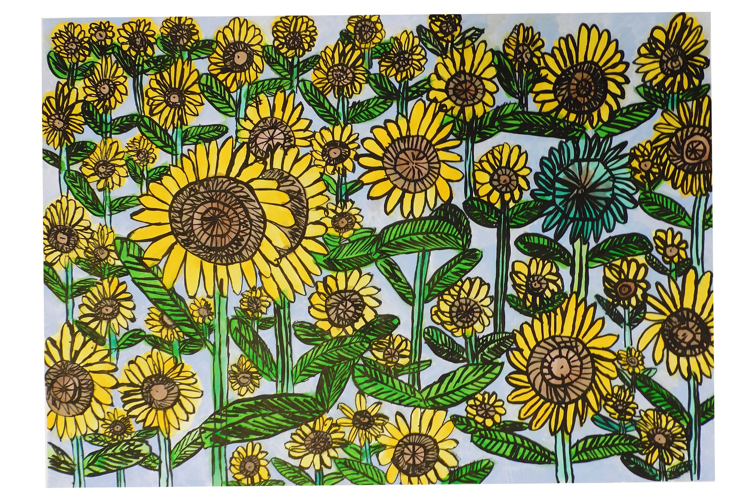 dan sunflowers 1.jpg