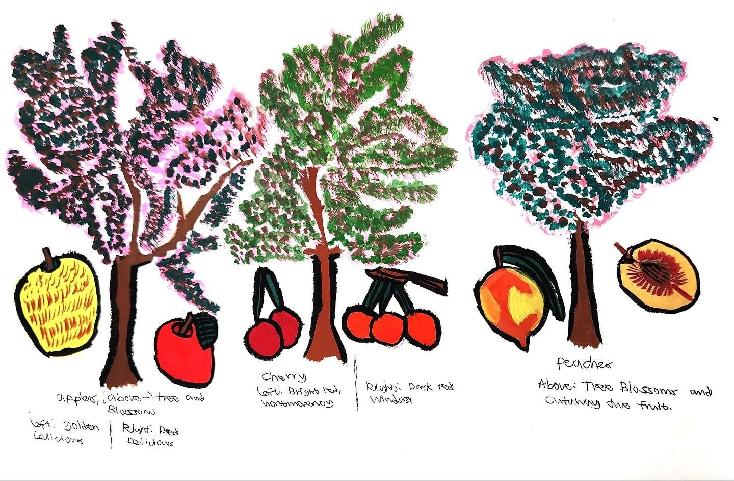 Come visit the North Pole table this Saturday at CiderFest 2025, put on by our friends at Portland Fruit Tree Project!
This free, family-friendly community event will feature a cider press, delicious cider baked goods, and tons of activities (includ