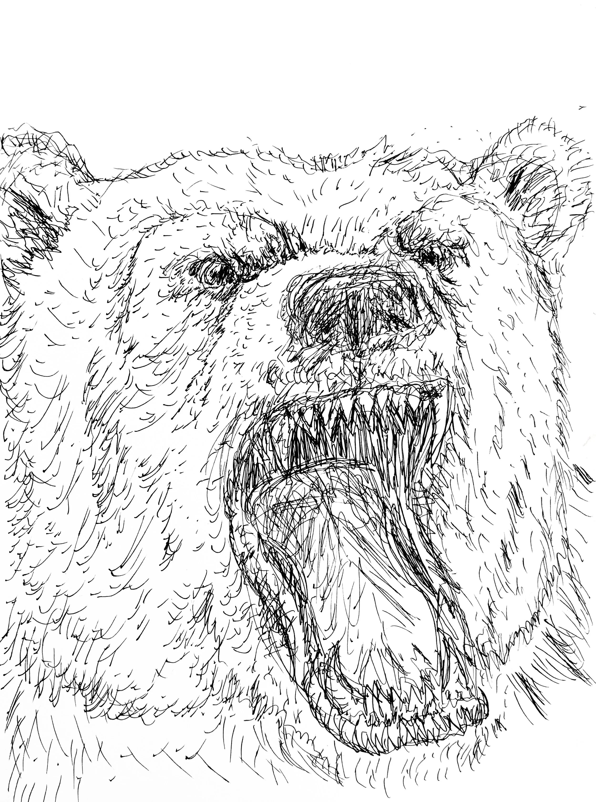 &ldquo;Unbearable&rdquo; by Nathan Tanner

We always love how punny Nathan&rsquo;s artwork titles are! 🐻

ID: On a white background with black ink there is a drawing of a bear&rsquo;s head with mouth open, baring its teeth.