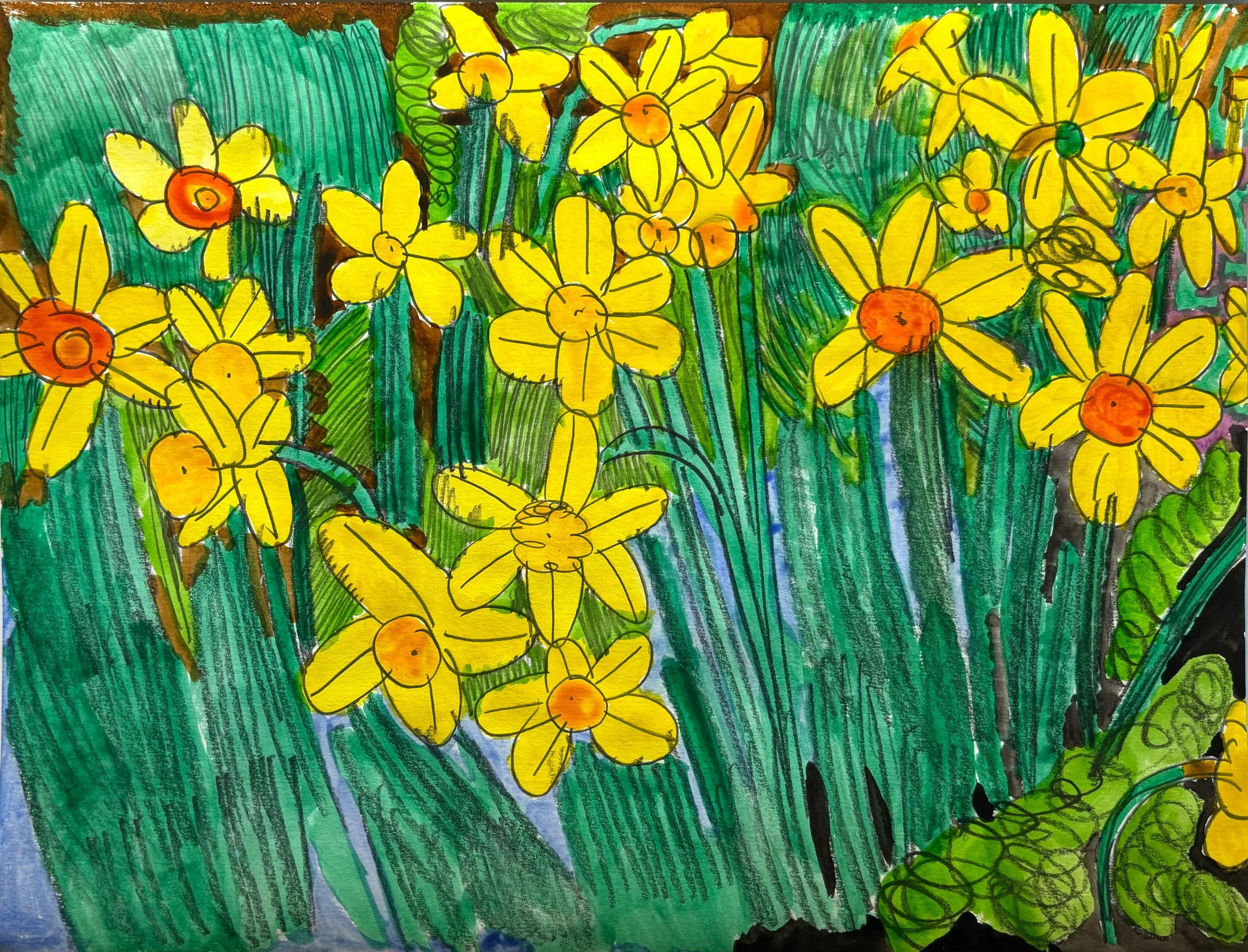 Daffodils
