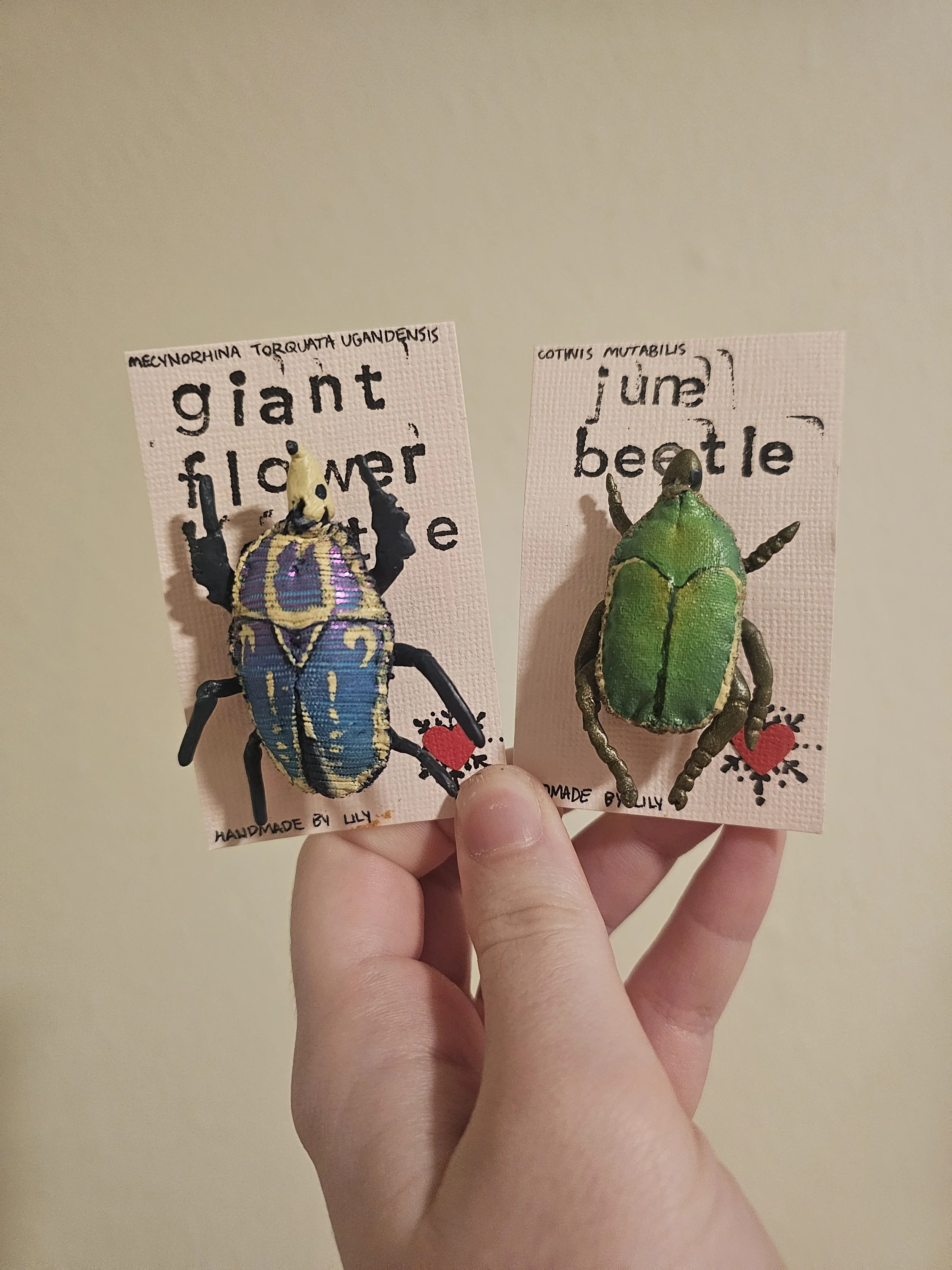 Beetle Brooches.jpg