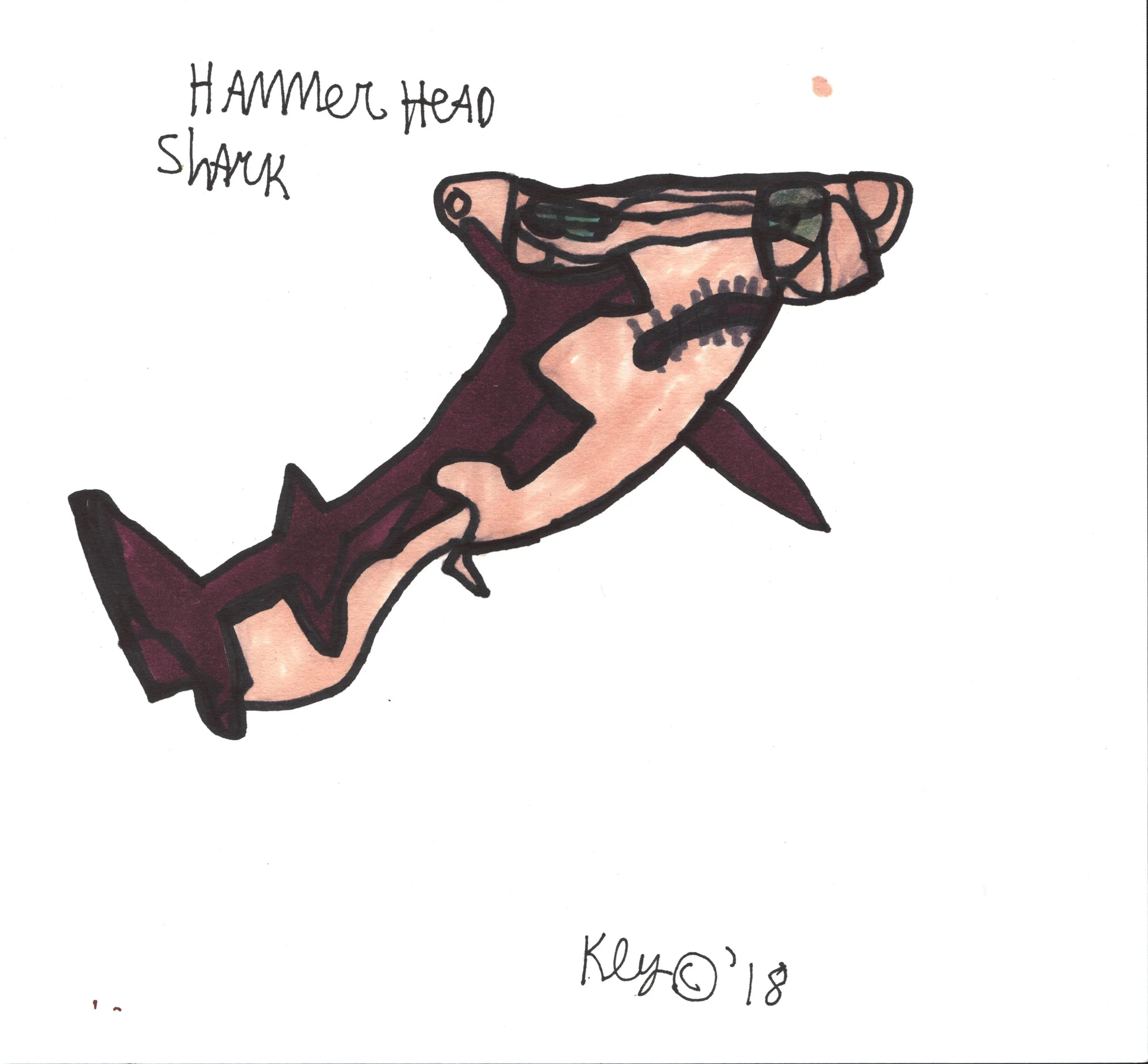 KYawman_HammerHeadShark_9x9.jpg