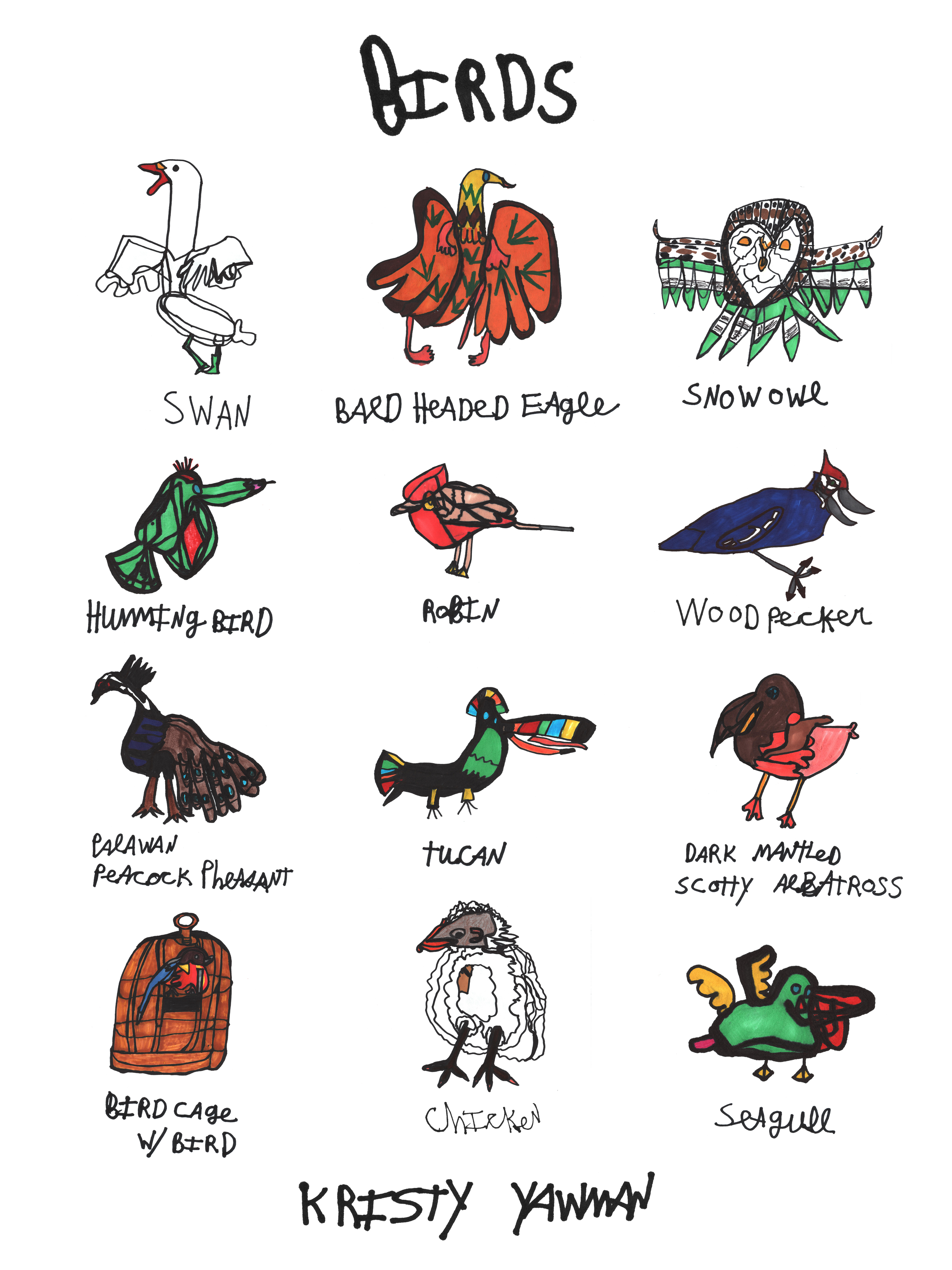 Birds