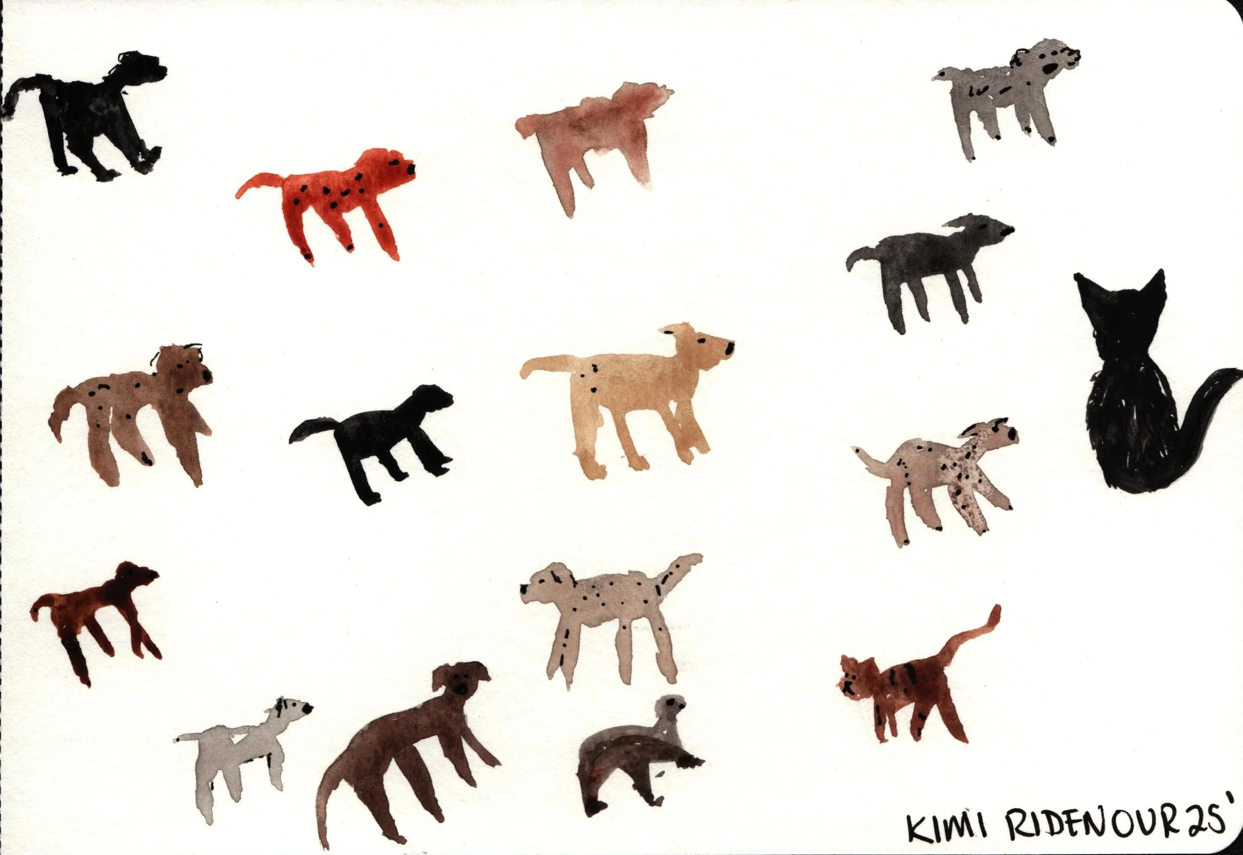Untitled (dogs and cat)