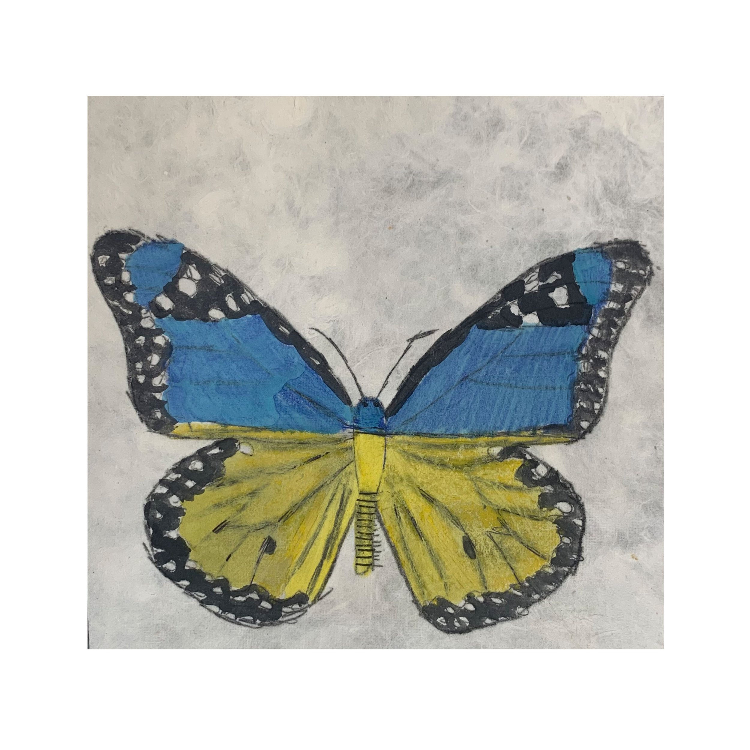 DanTran_HappyUkraineButterfly.jpg