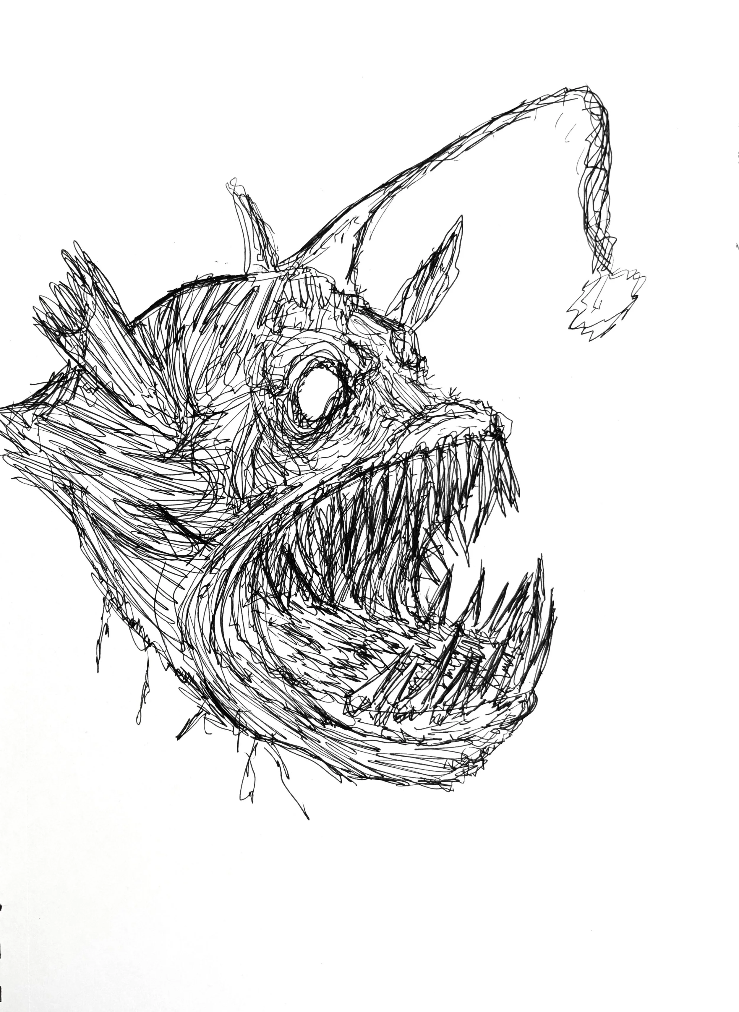 Me after the morning .jpeg