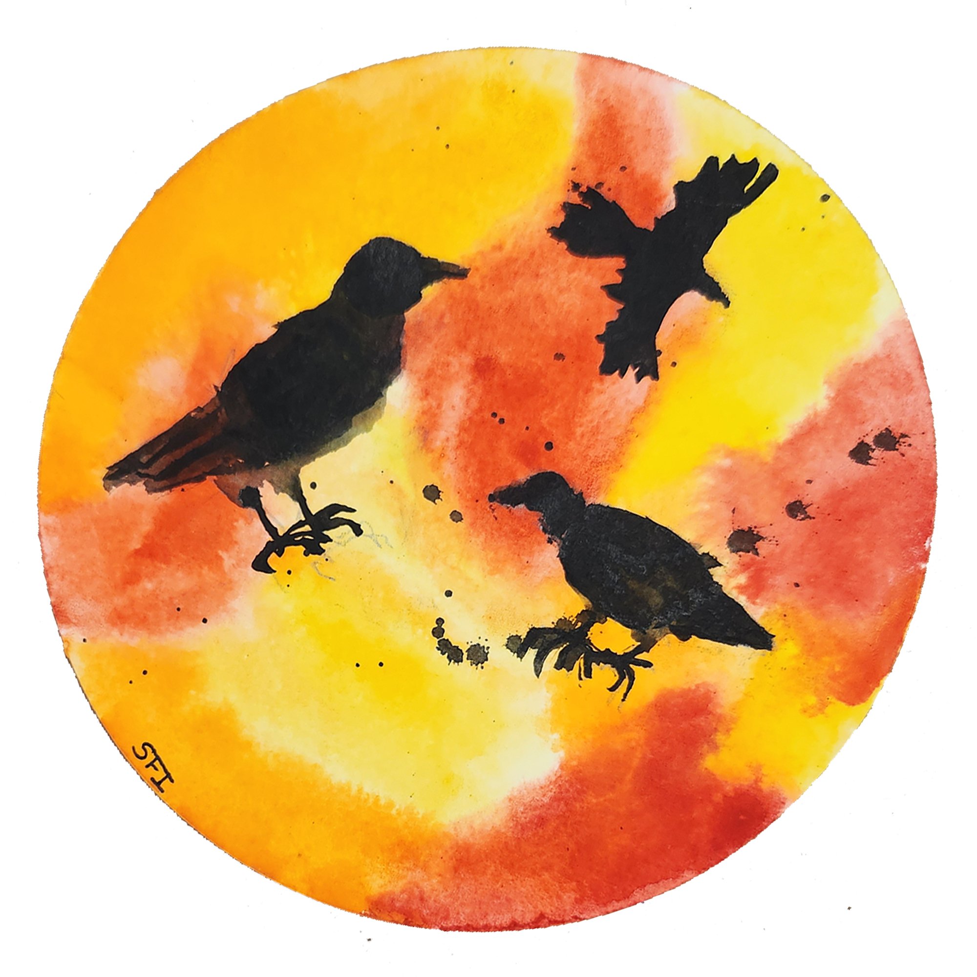 Crows