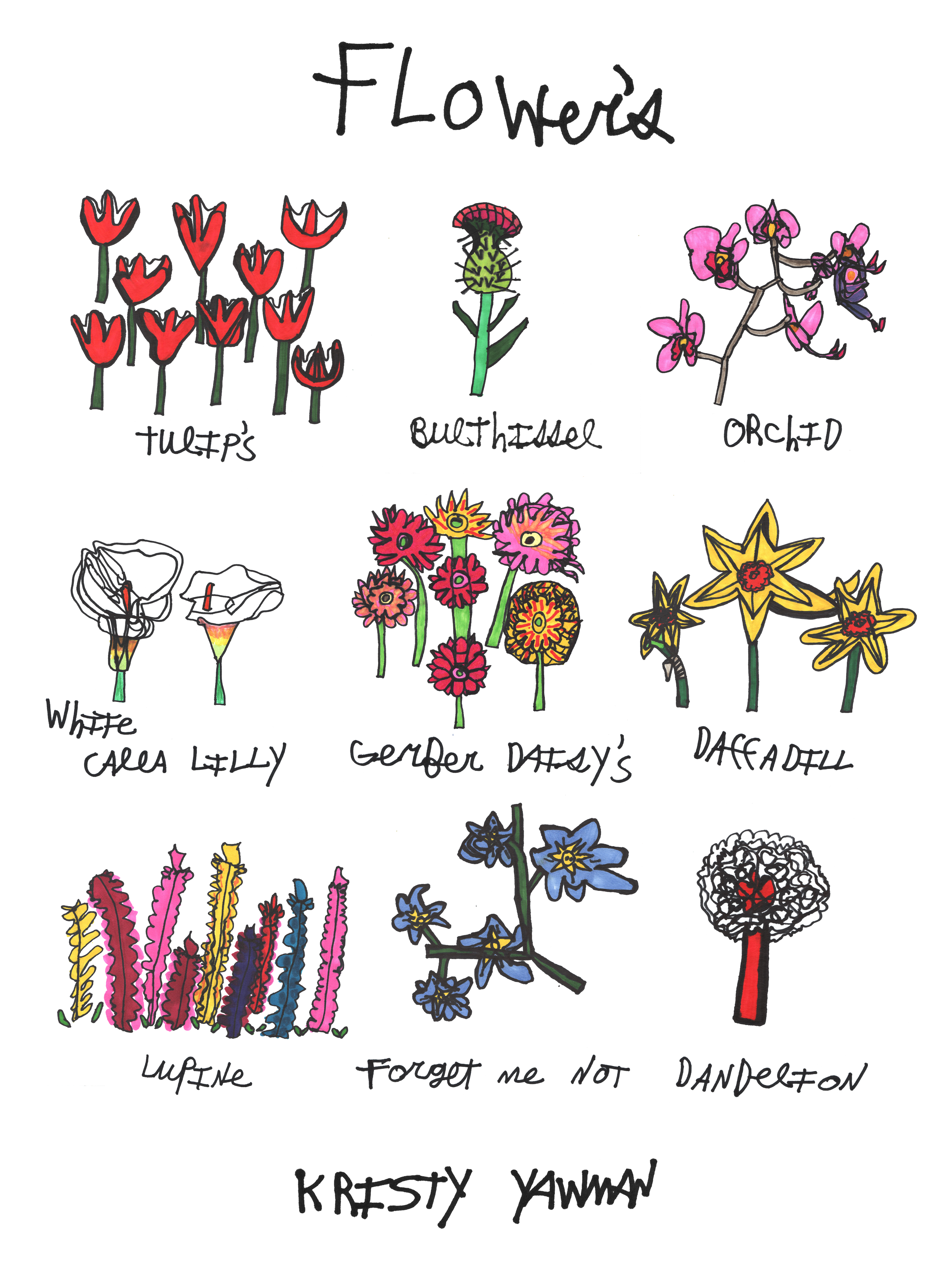 KristyFlowertransparency.png