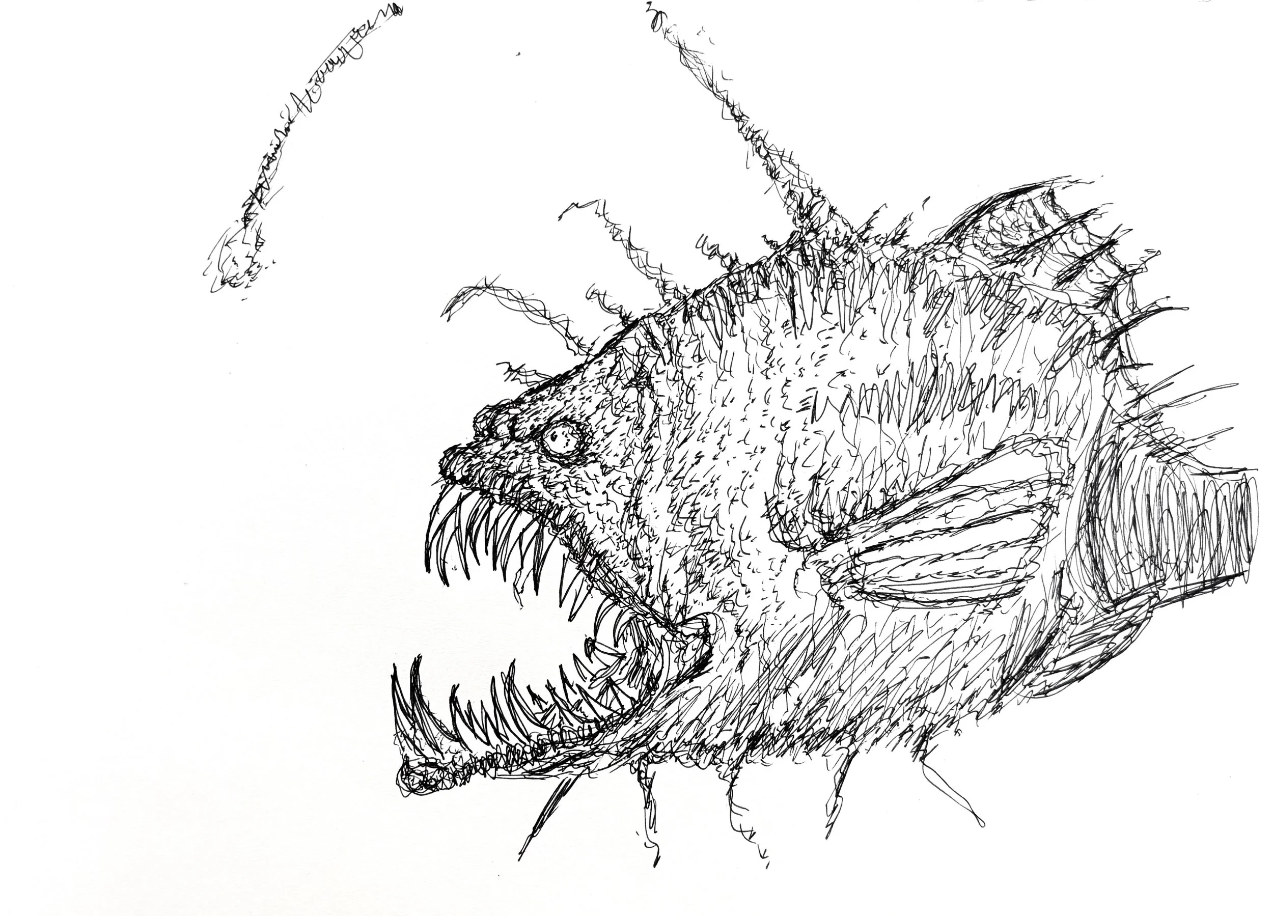 Me in the morning.jpeg