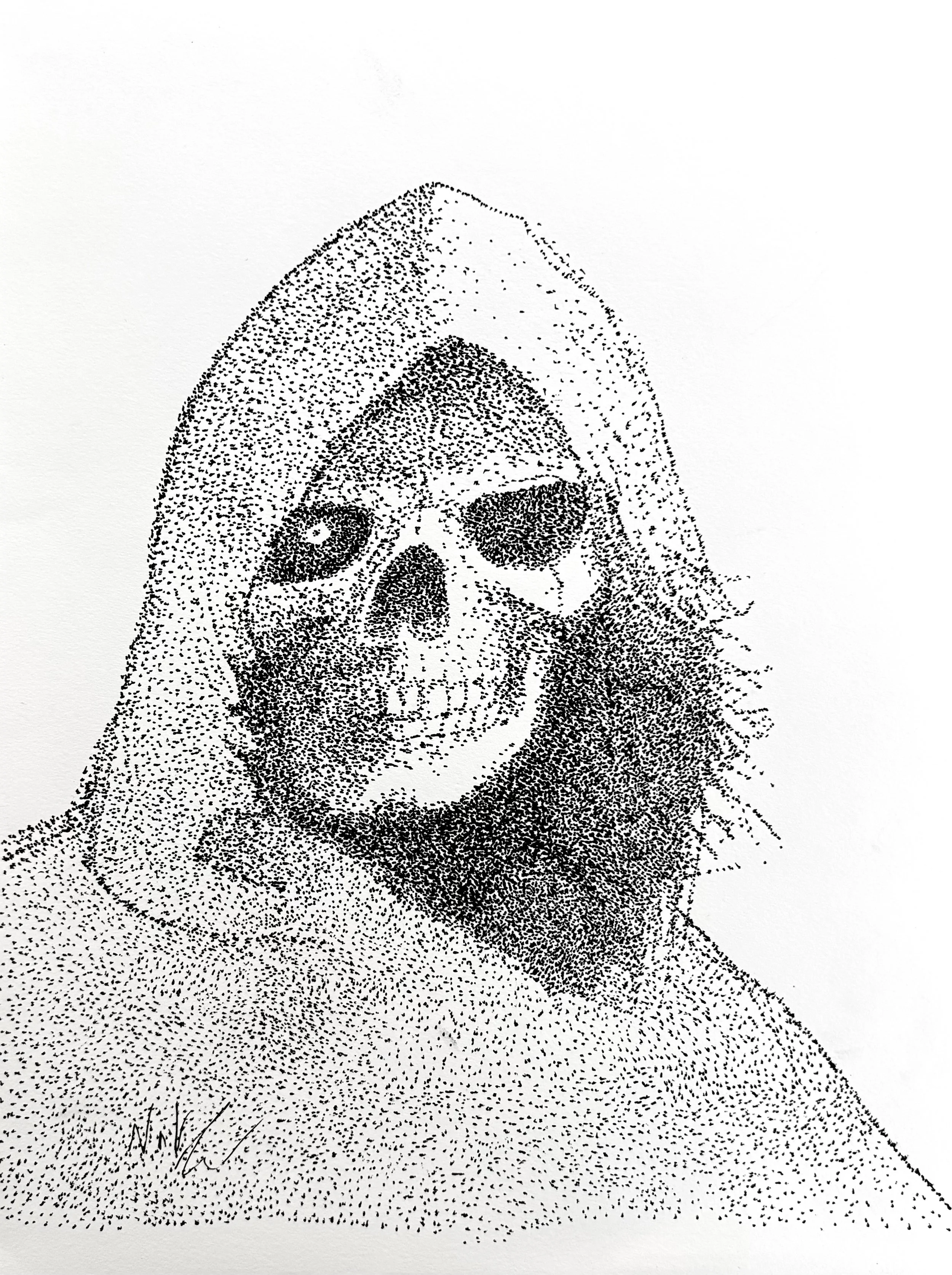 Nathan My Stalker.jpeg