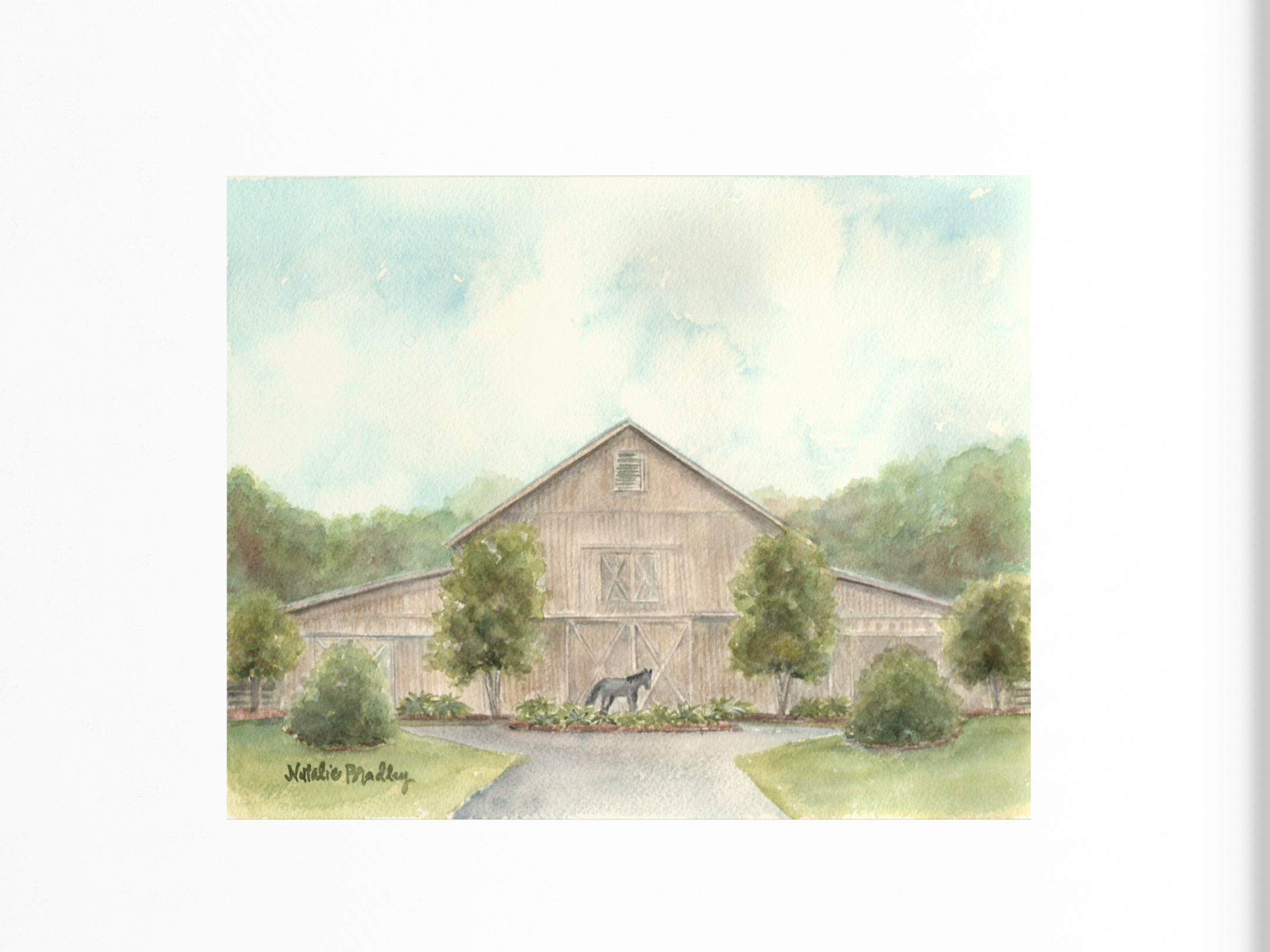 IMG_0138.png