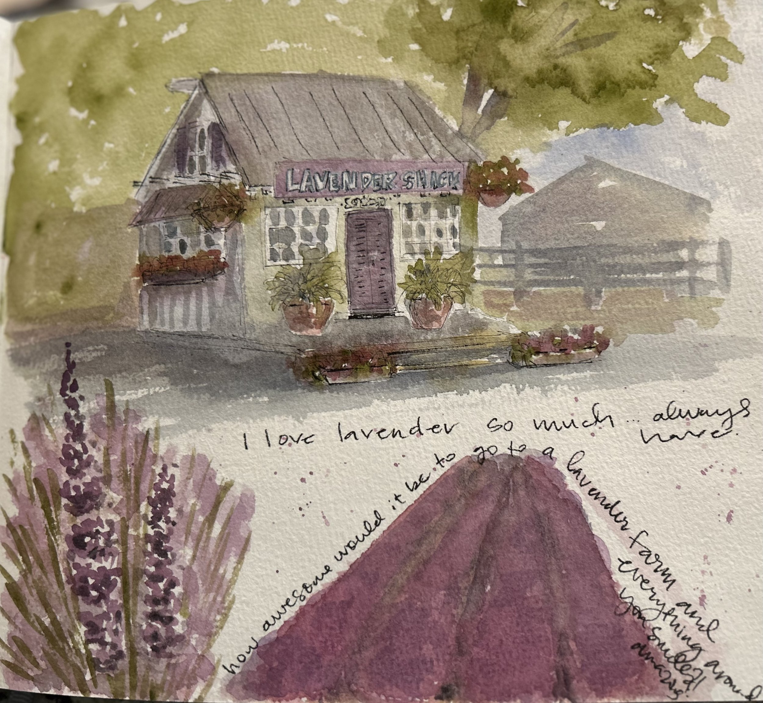 the Lavender Shack